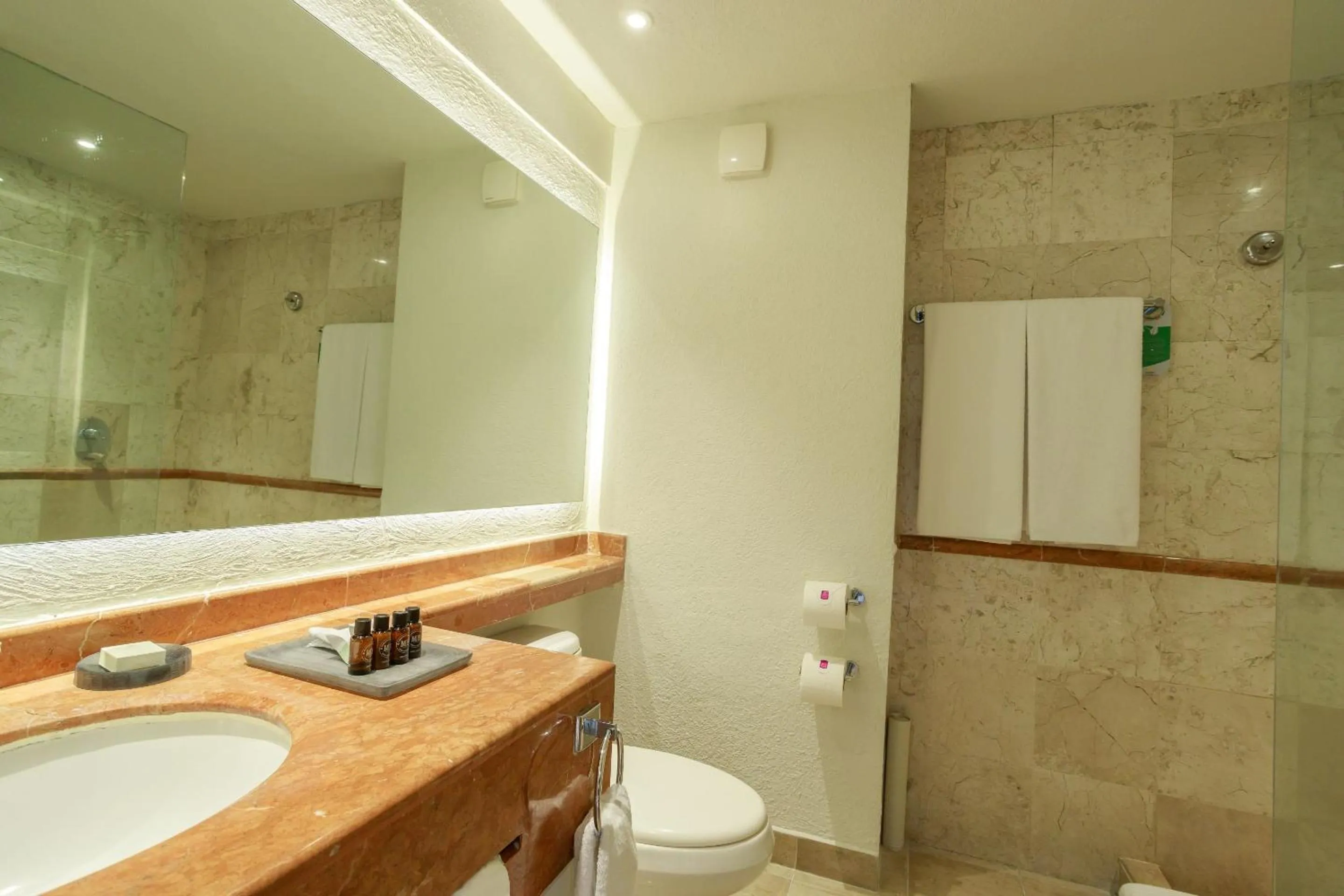 Bathroom in Camino Real Veracruz