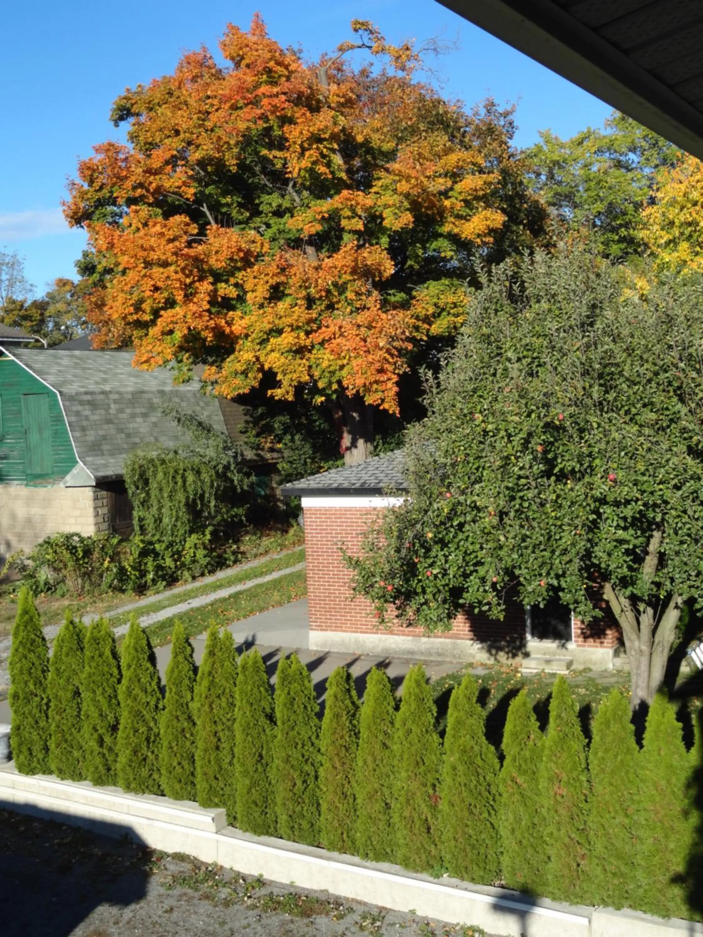 Rainbow Bed & Breakfast