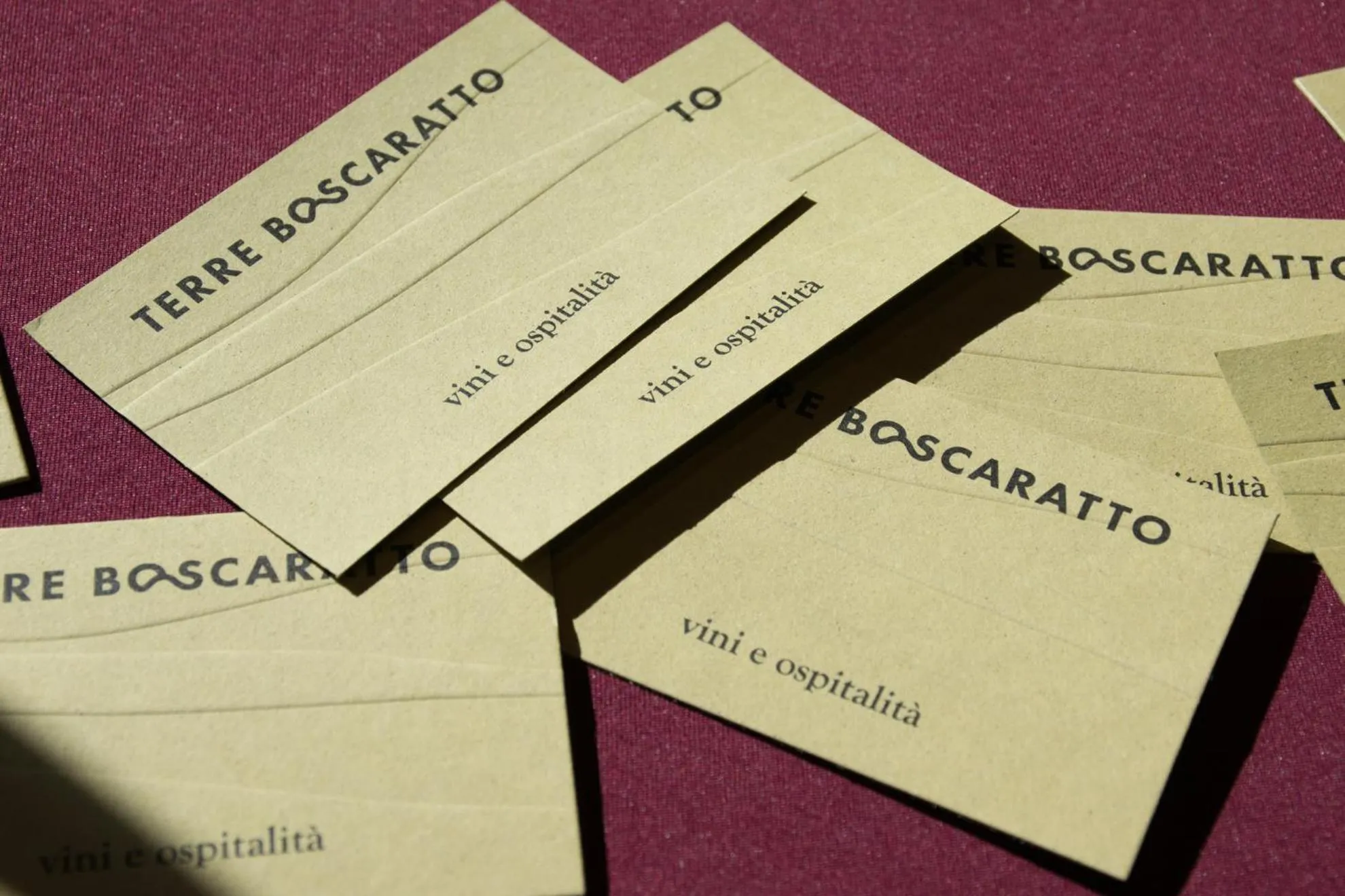 Property logo or sign in Terre Boscaratto