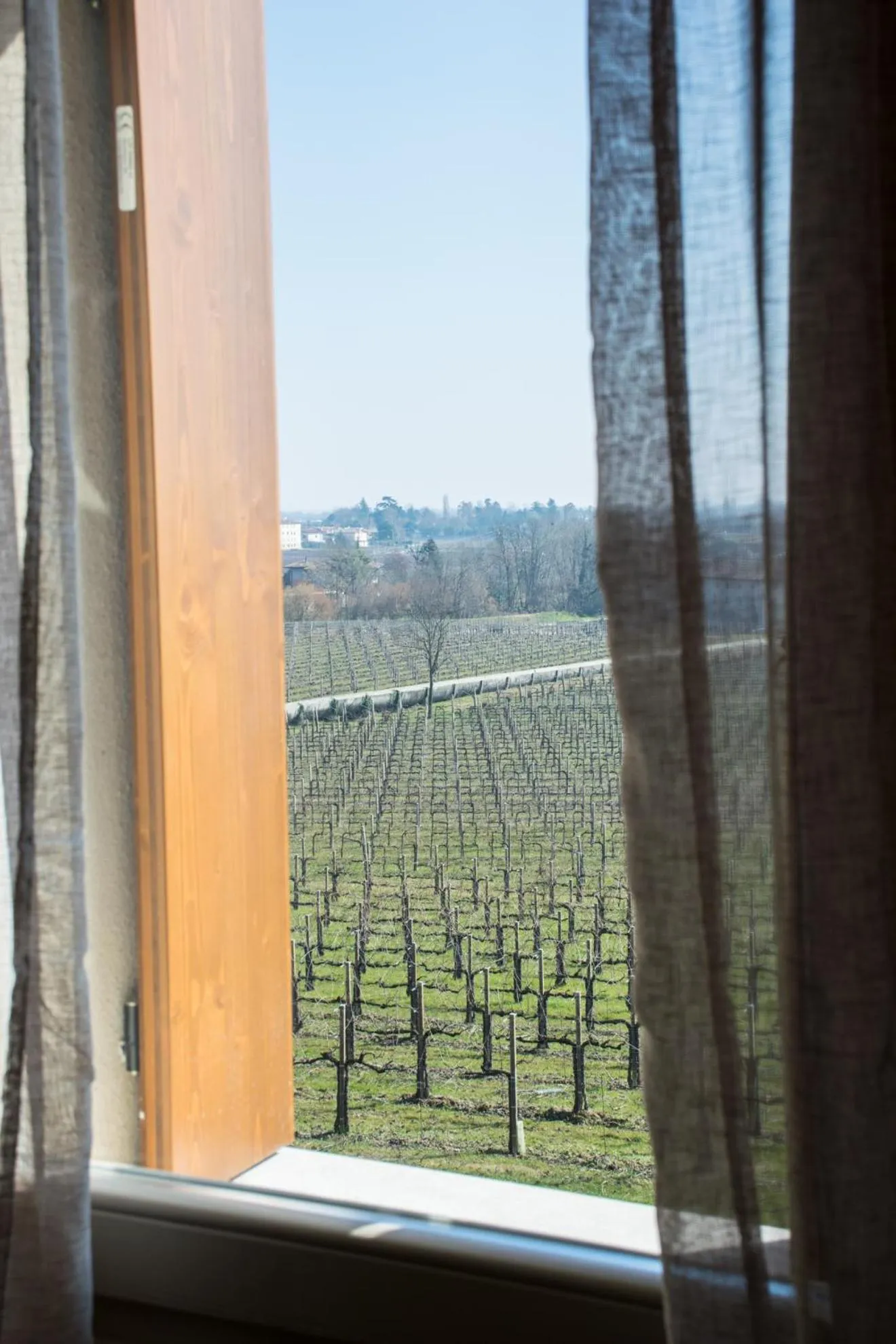 Garden view in Terre Boscaratto