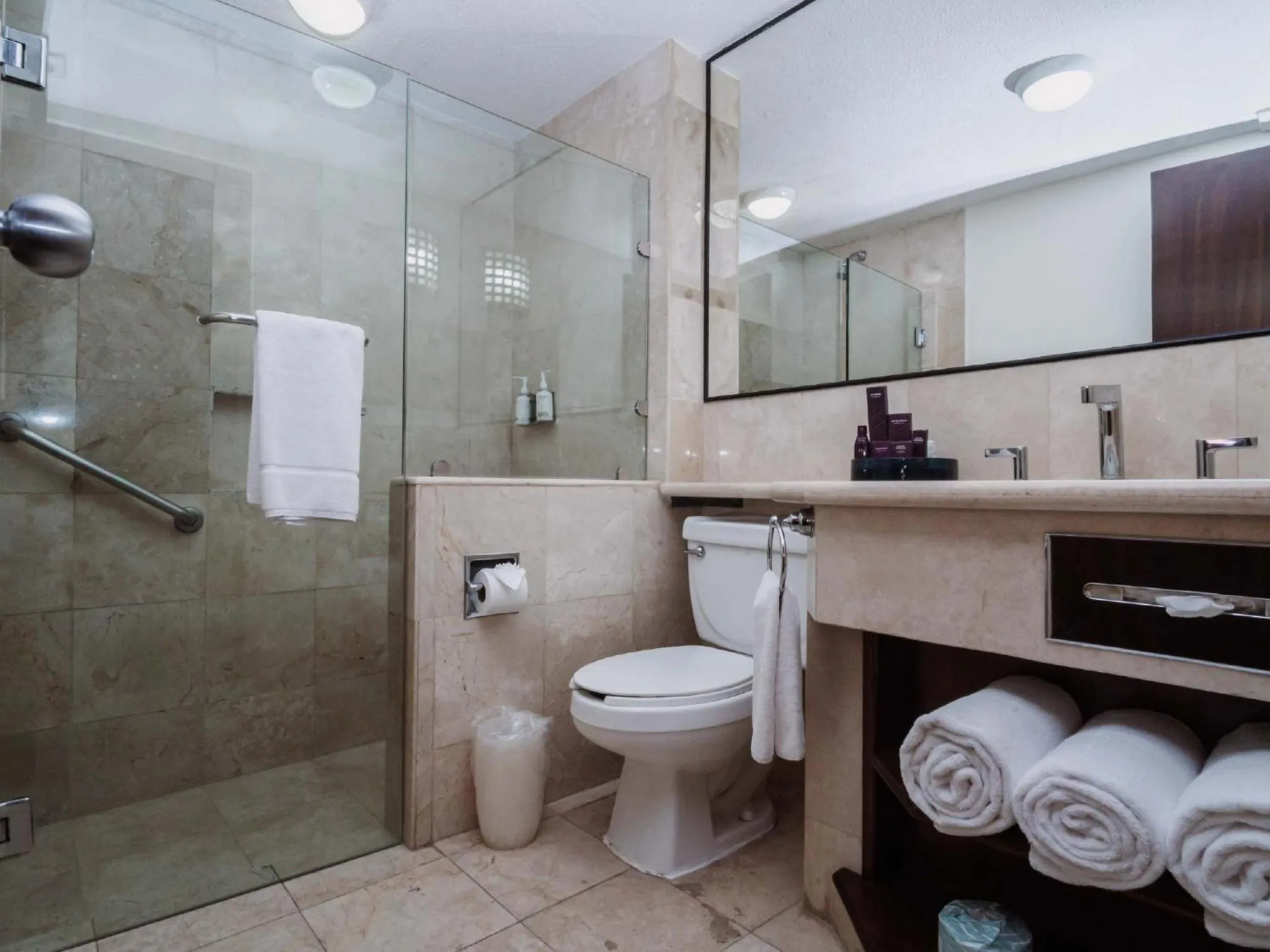 Shower in HS HOTSSON Hotel Tampico