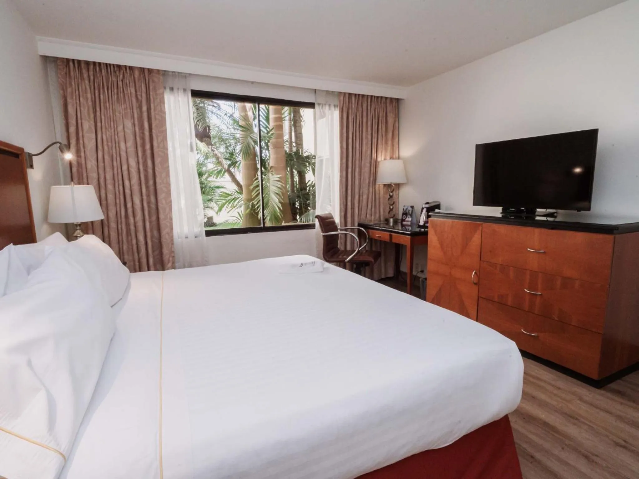 Communal lounge/ TV room, Bed in HS HOTSSON Hotel Tampico