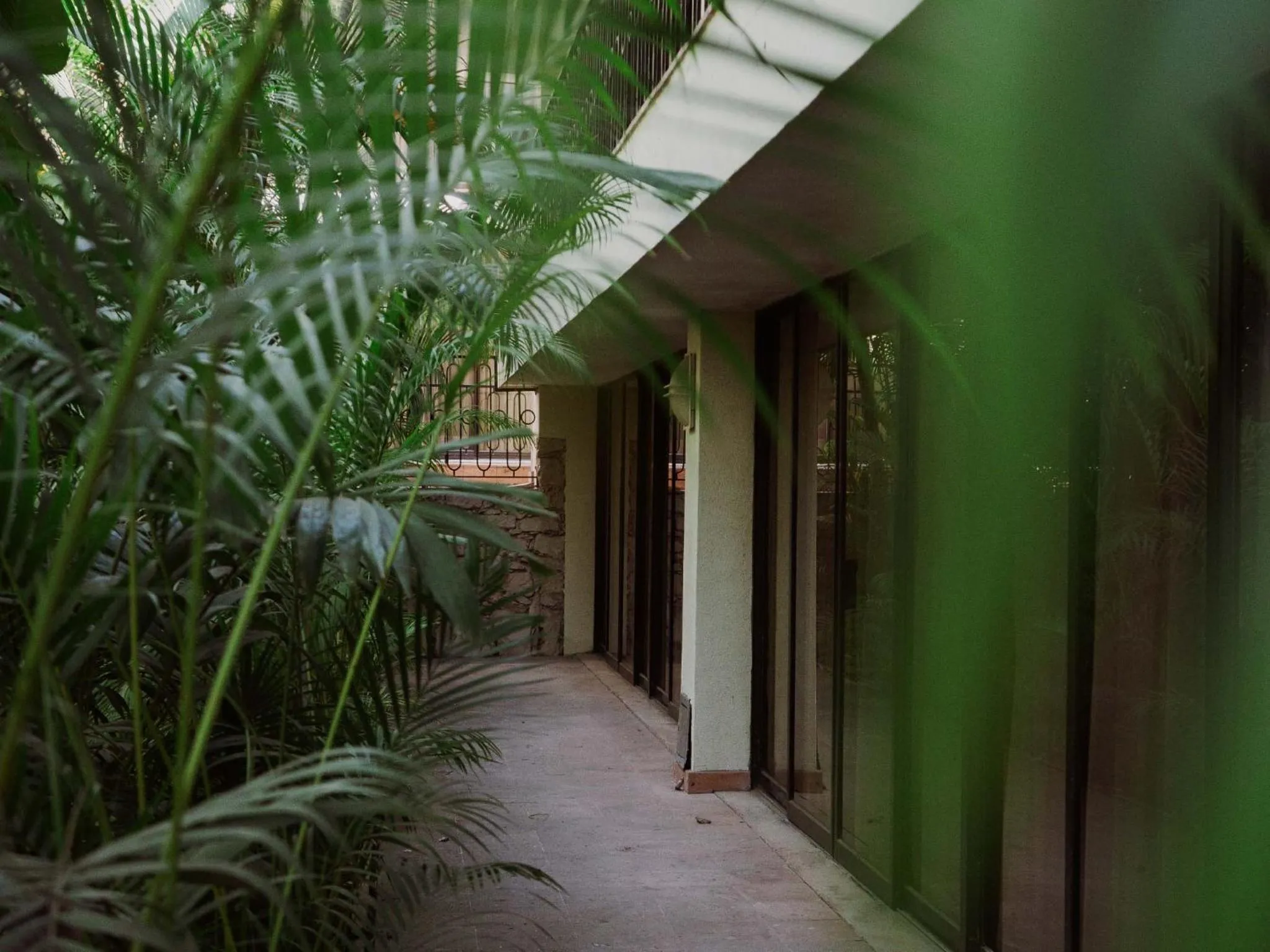 Day in HS HOTSSON Hotel Tampico