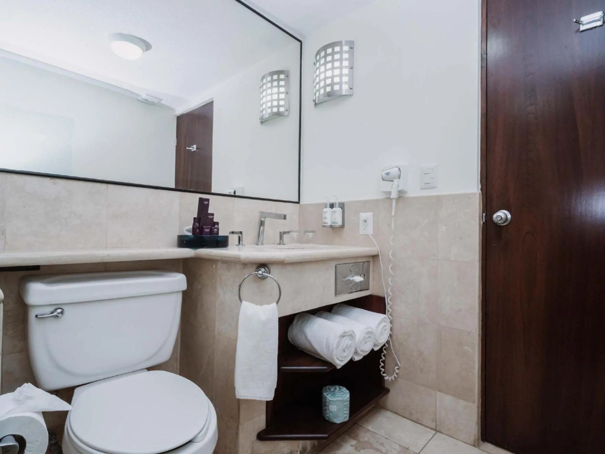 Shower in HS HOTSSON Hotel Tampico