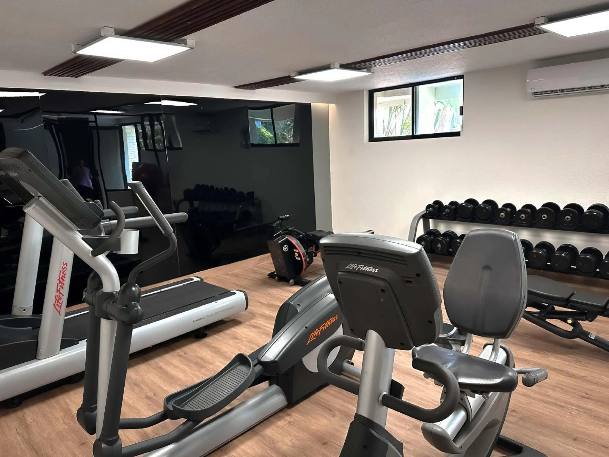Fitness centre/facilities in HS HOTSSON Hotel Tampico