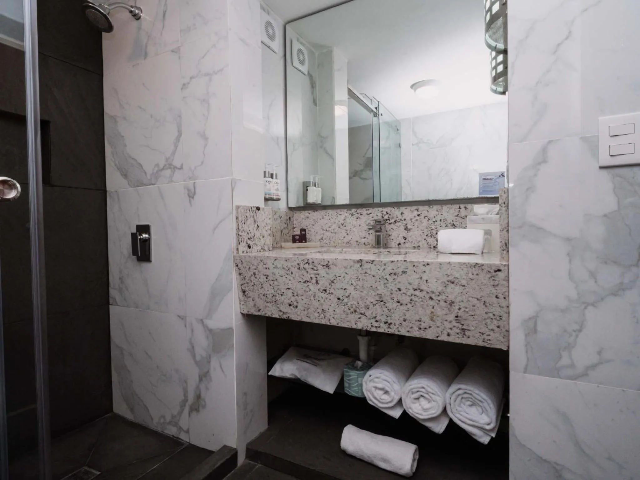 Shower in HS HOTSSON Hotel Tampico