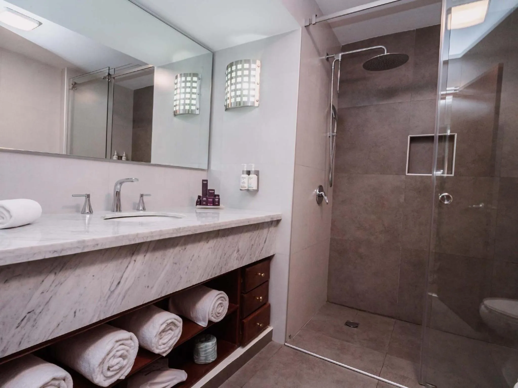 Shower in HS HOTSSON Hotel Tampico