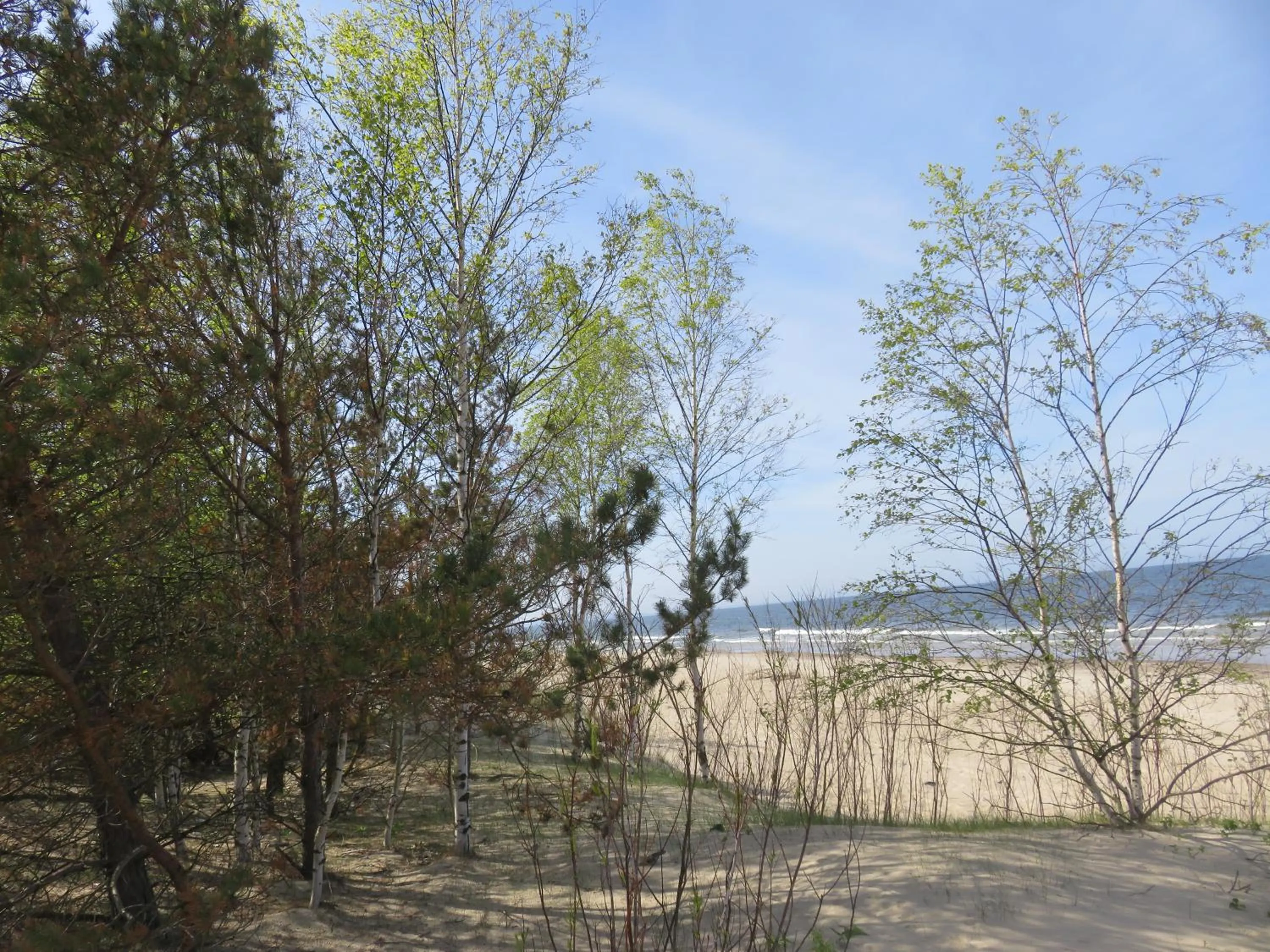 Neighbourhood in FALA na WYSPIE