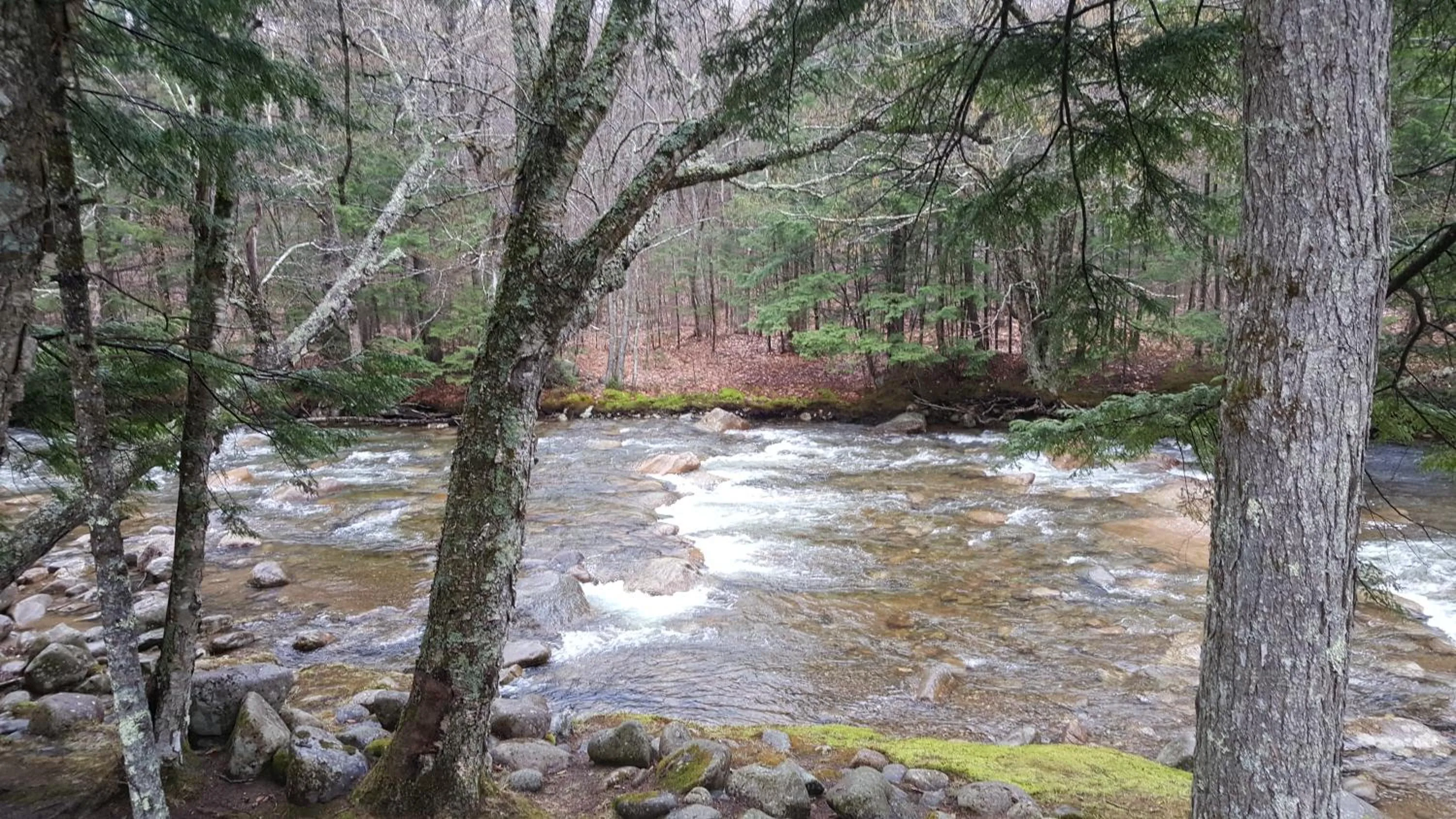 Franconia Notch Motel