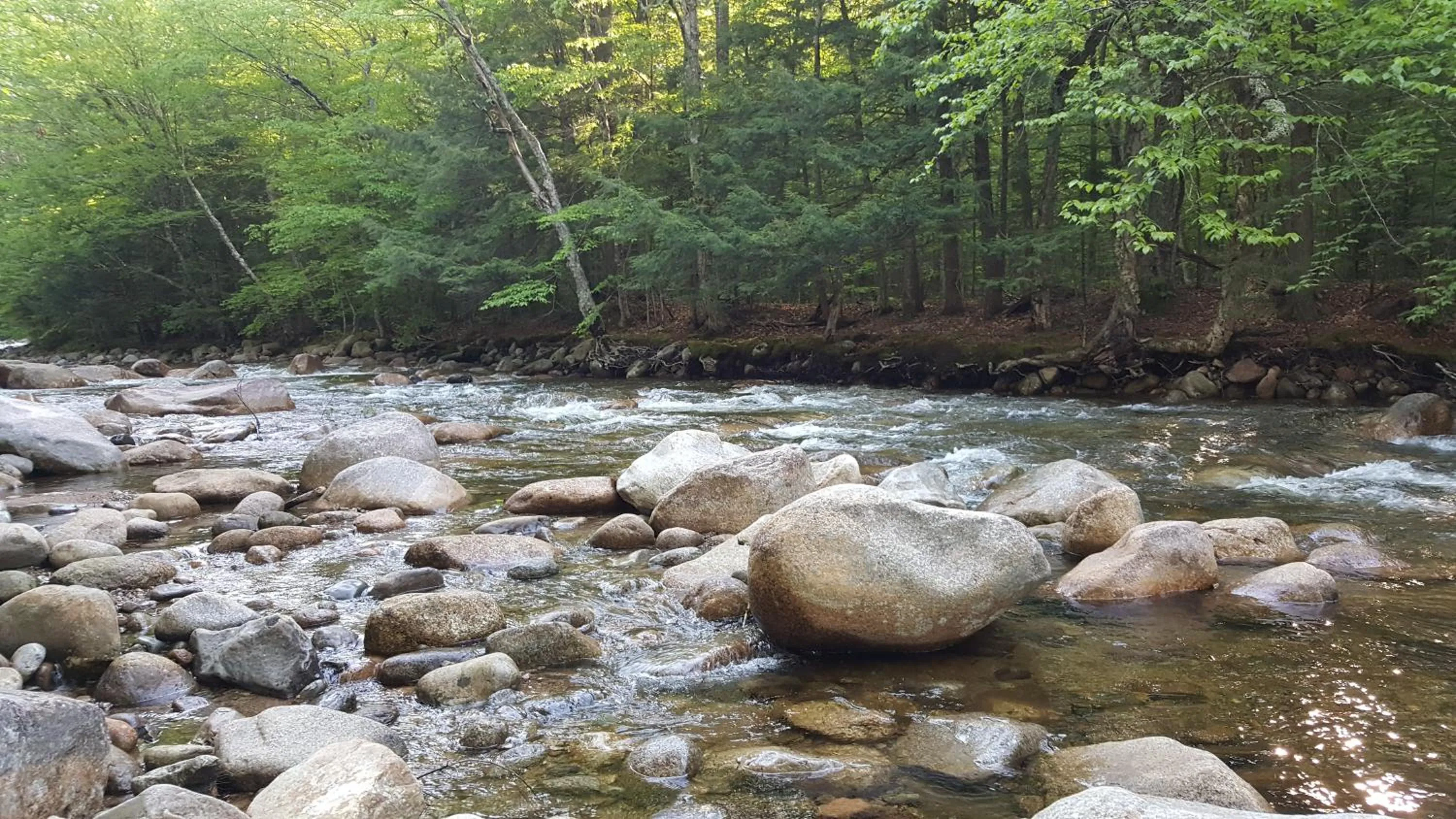 Franconia Notch Motel