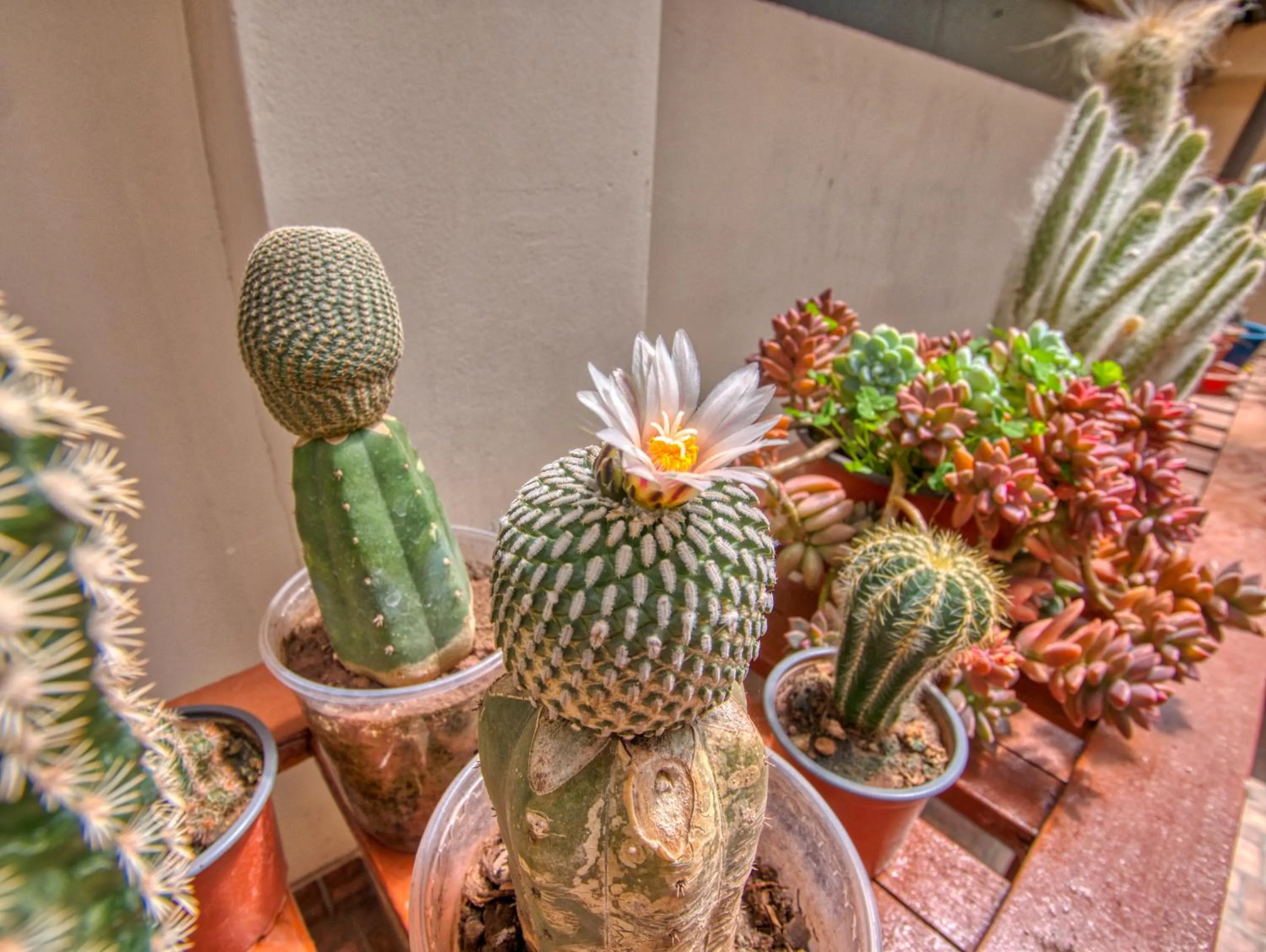 Balcony/Terrace in Sol Ollantay Boutique Hotel