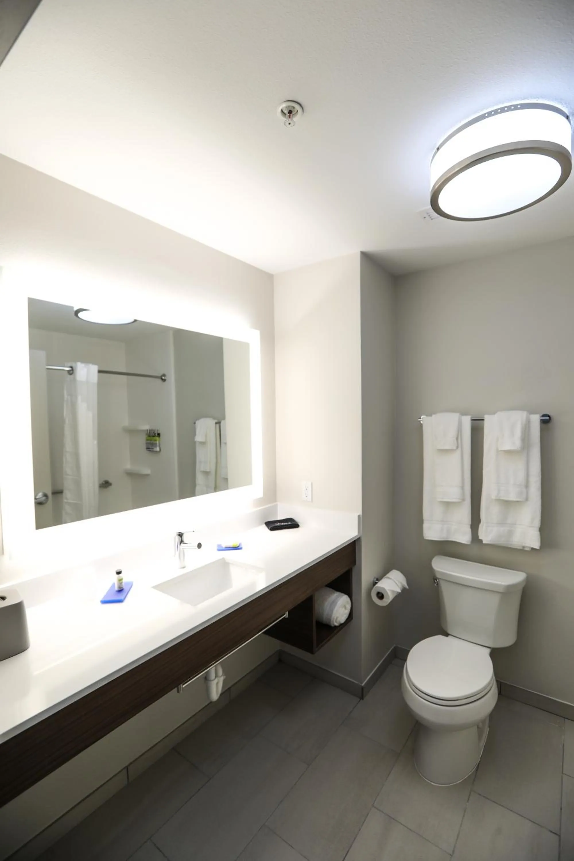 Bathroom in Holiday Inn Express Hillsboro I-35 by IHG