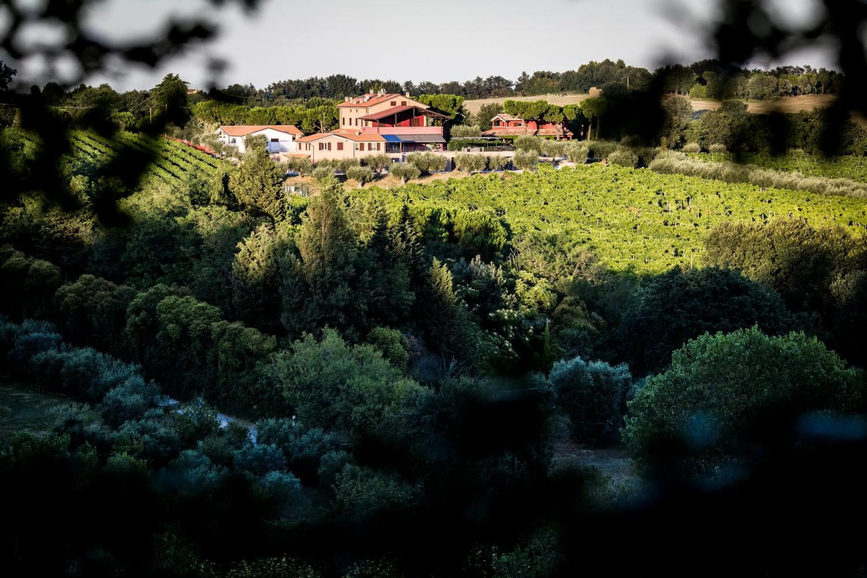 Natural landscape in B&B - Uva Residence