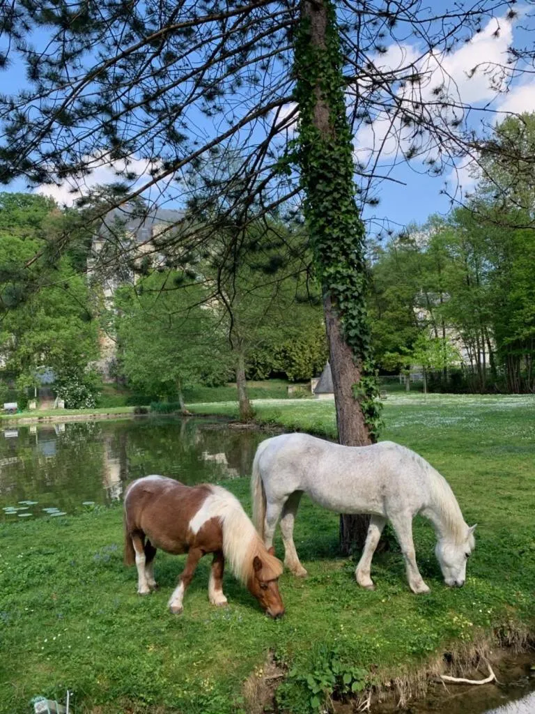 Gite La Suite Ducale Chateau La Roche Racan