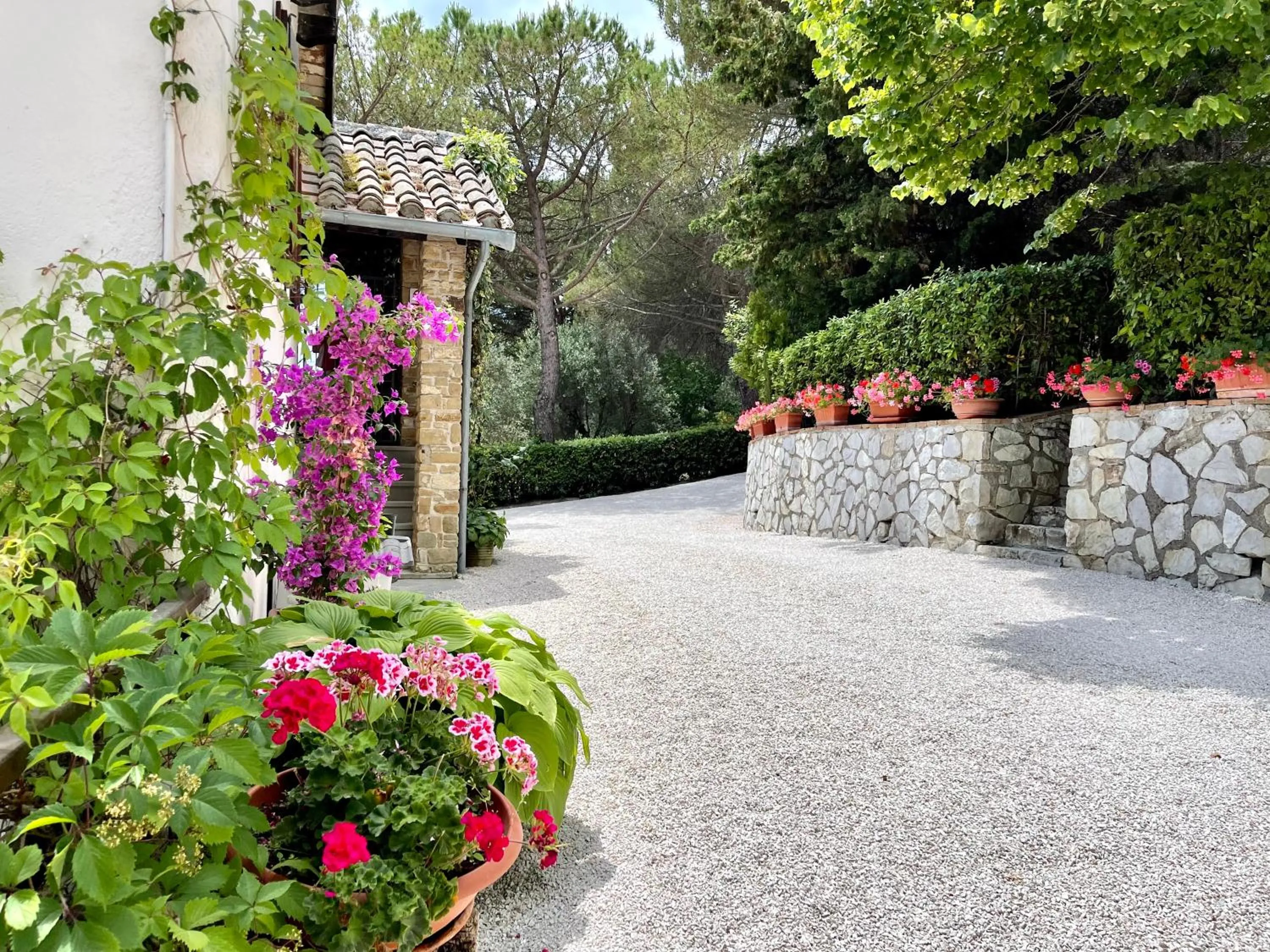 La Panoramica Gubbio - Maison de Charme - Casette e appartamenti self catering per vacanze meravigliose!