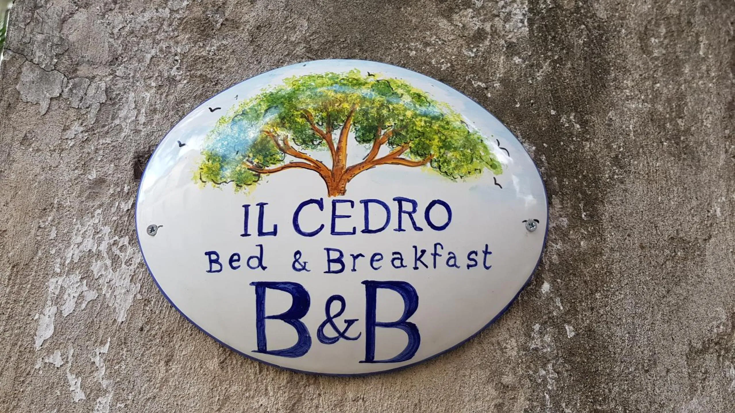 Property logo or sign in B&B IL CEDRO