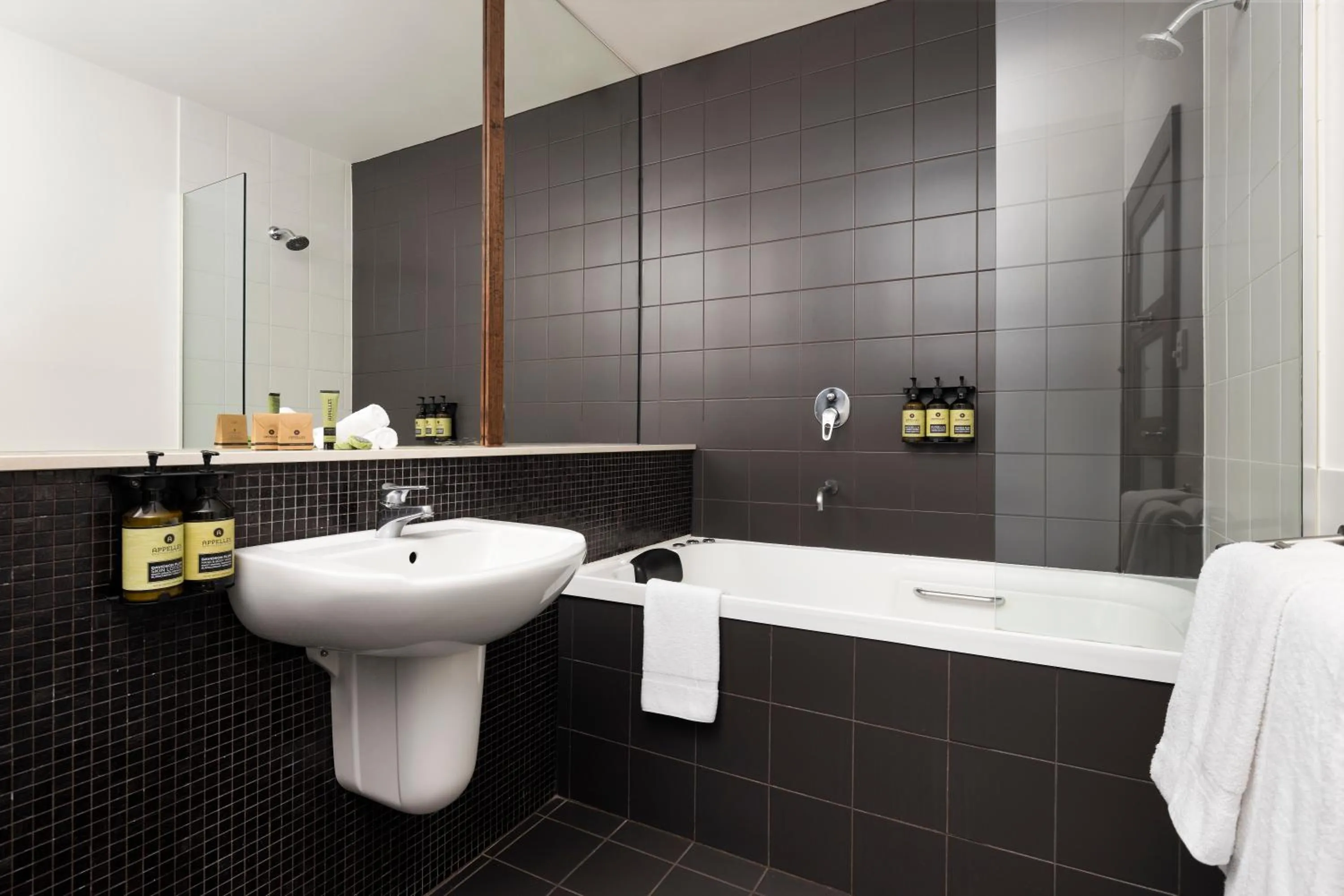 Shower in Mineral Springs Hotel Hepburn