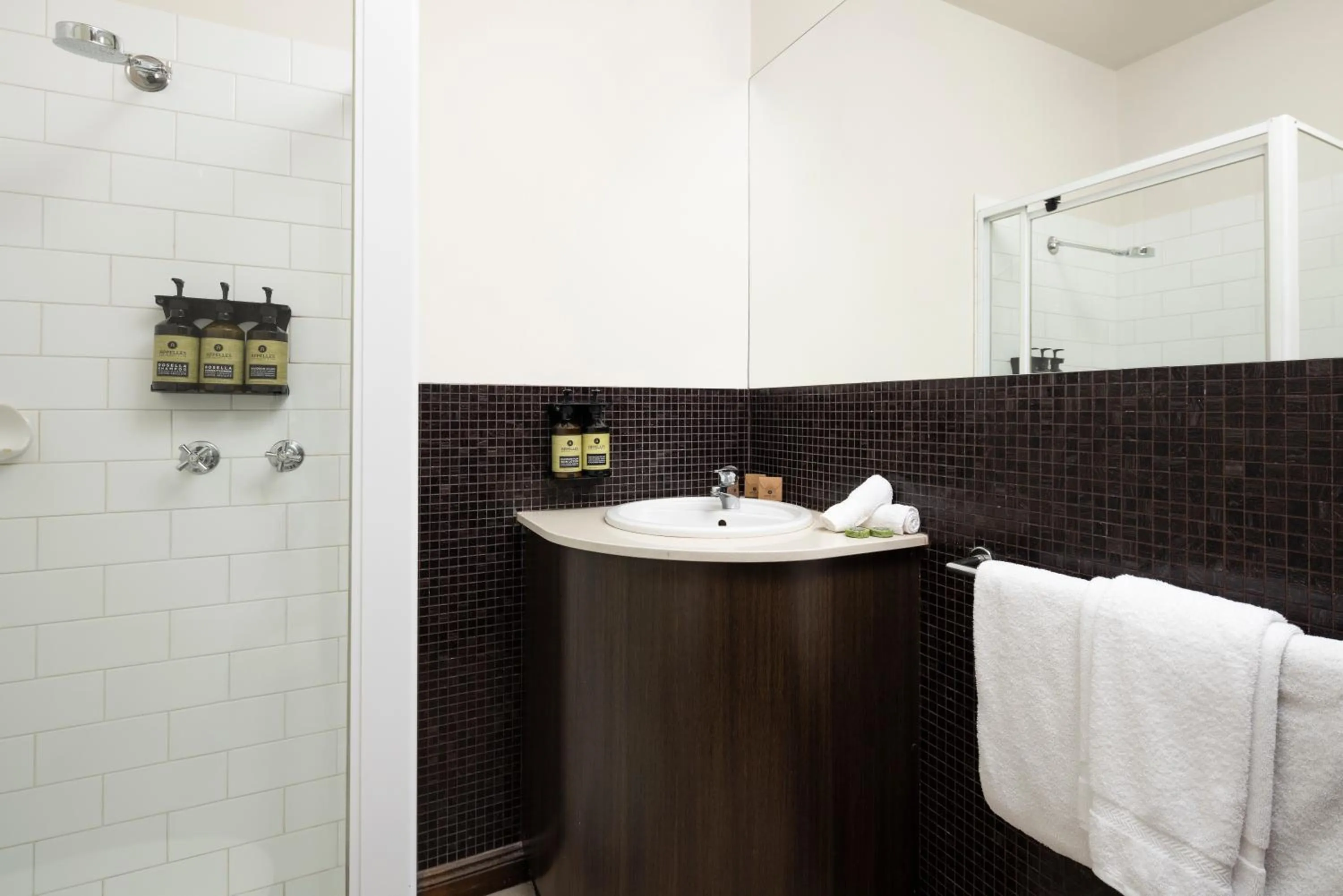 Shower in Mineral Springs Hotel Hepburn