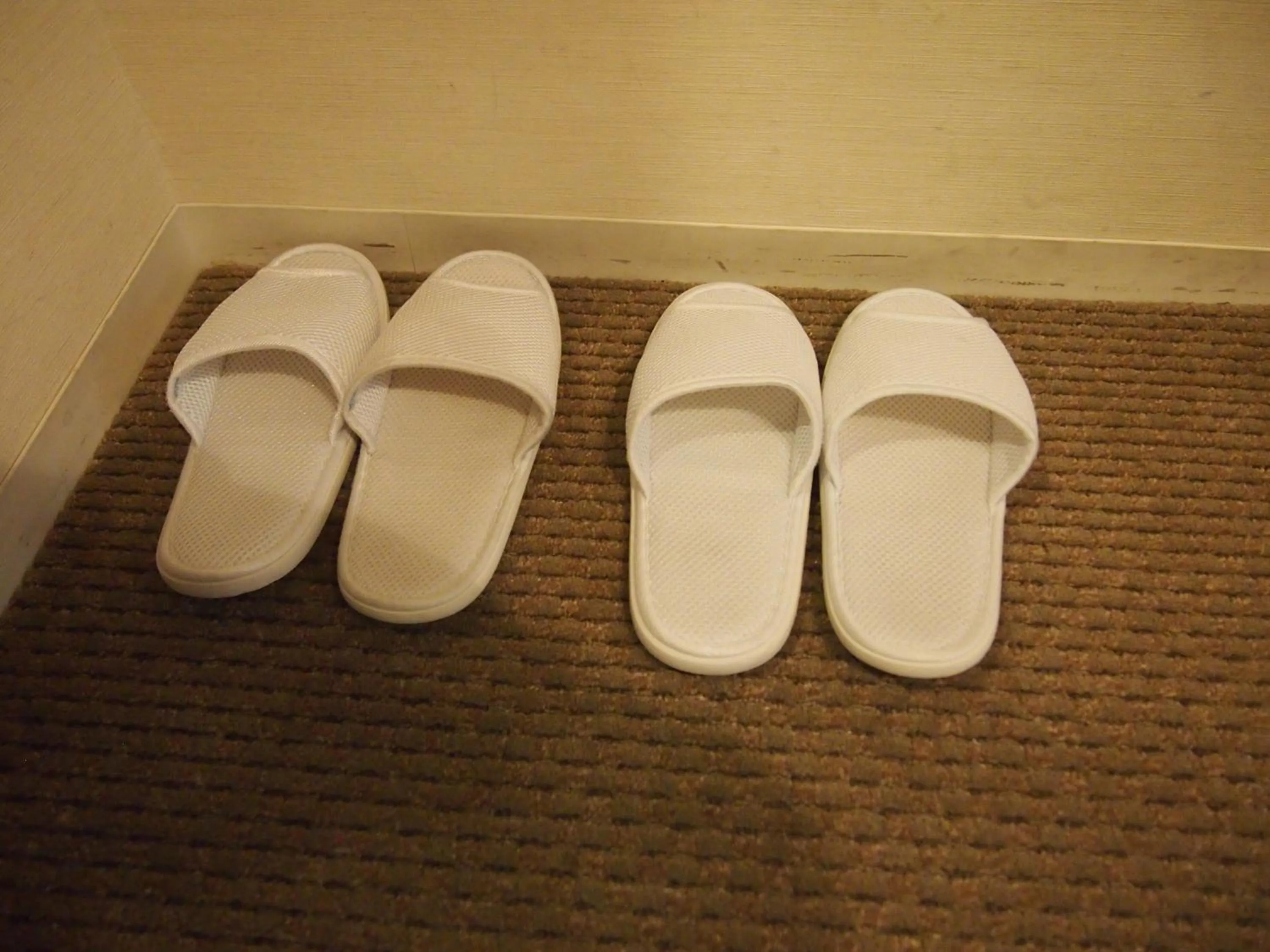 Other in Art Hotel Hirosaki City