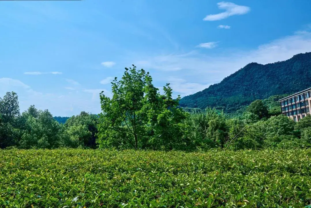 View (from property/room) in InterContinental One Thousand Island Lake Resort, an IHG Hotel View (from property/room) in InterContinental One Thousand Island Lake Resort, an IHG Hotel