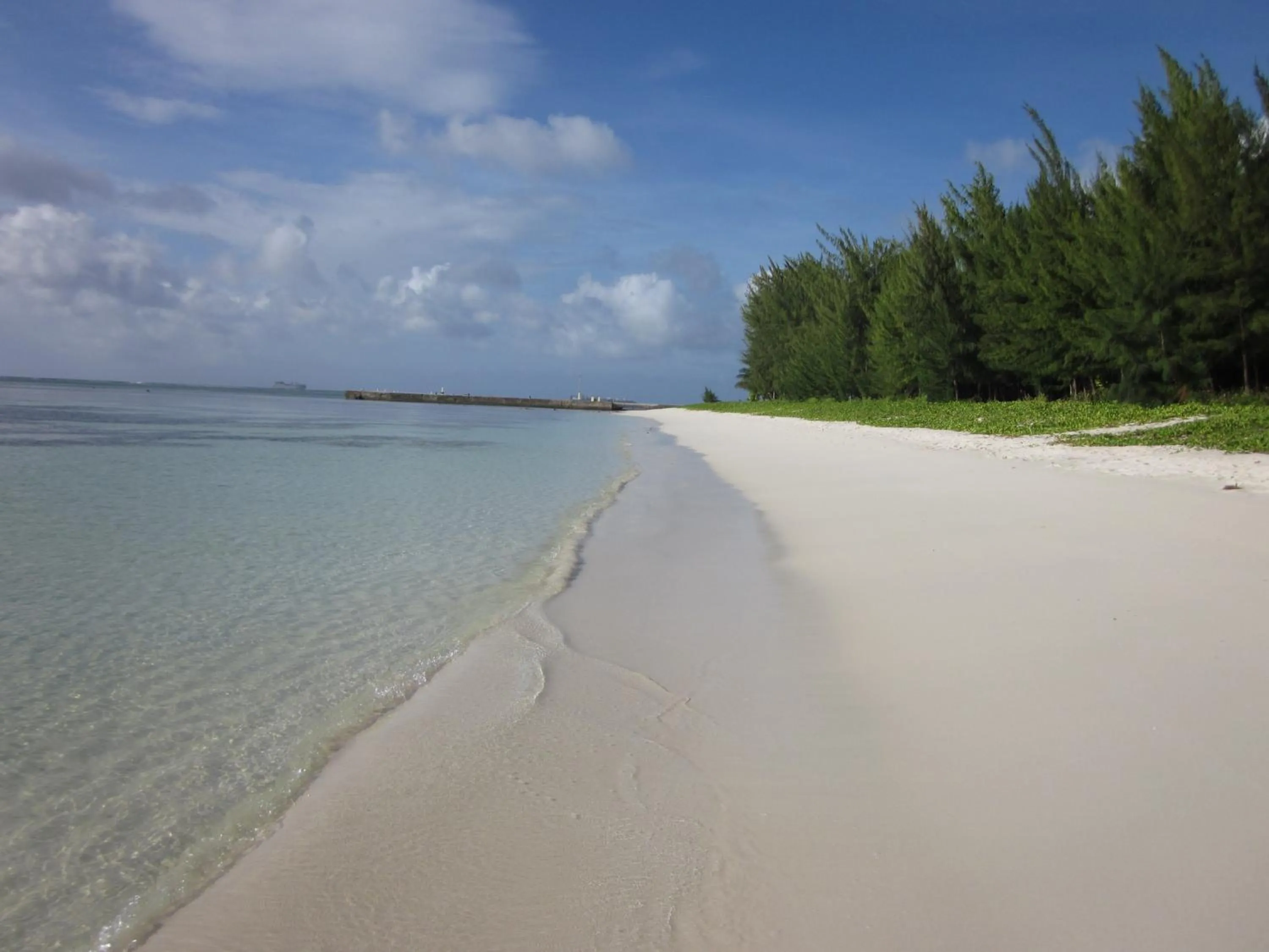 Day in Aquarius Beach Tower