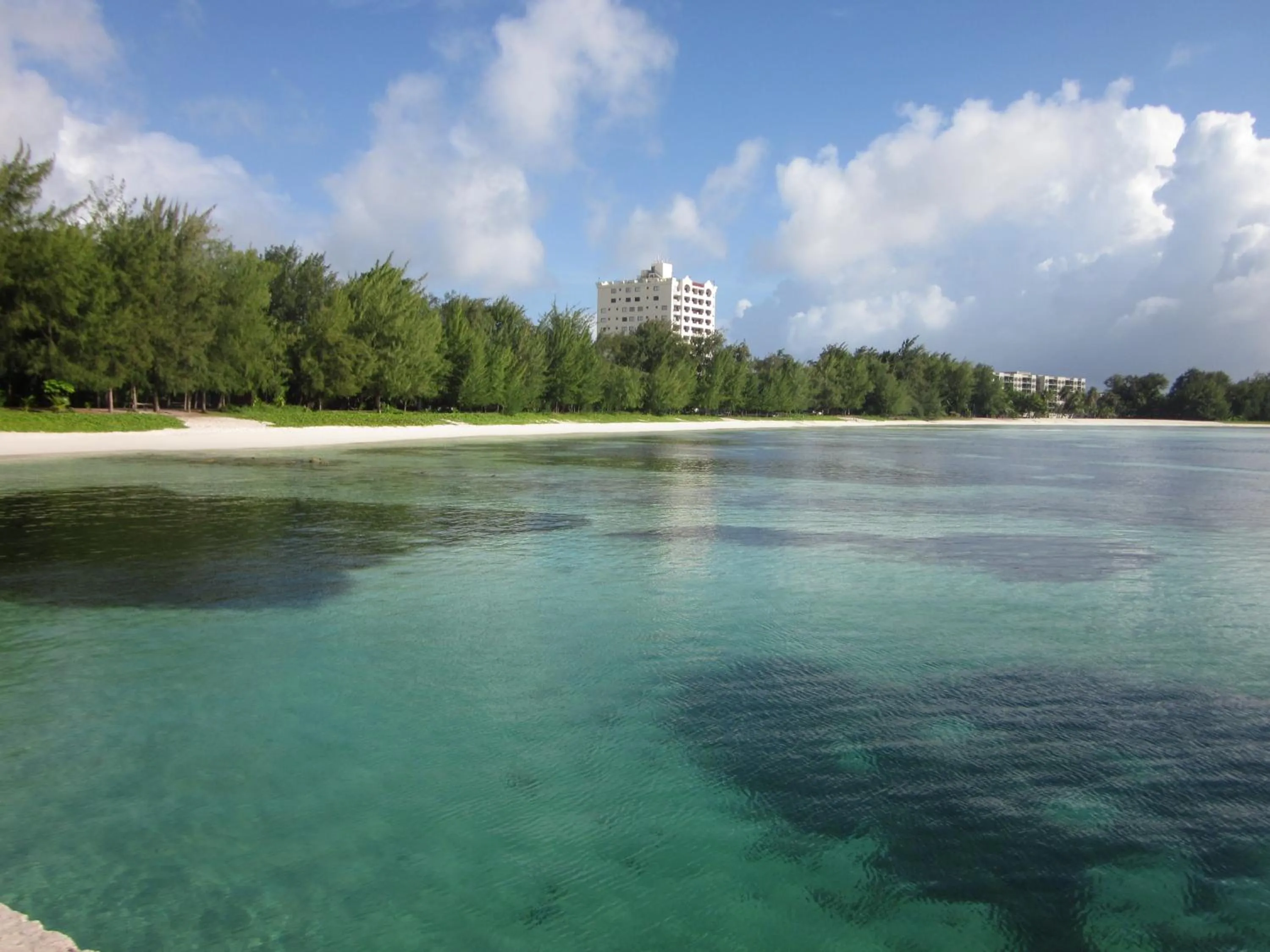 Day in Aquarius Beach Tower
