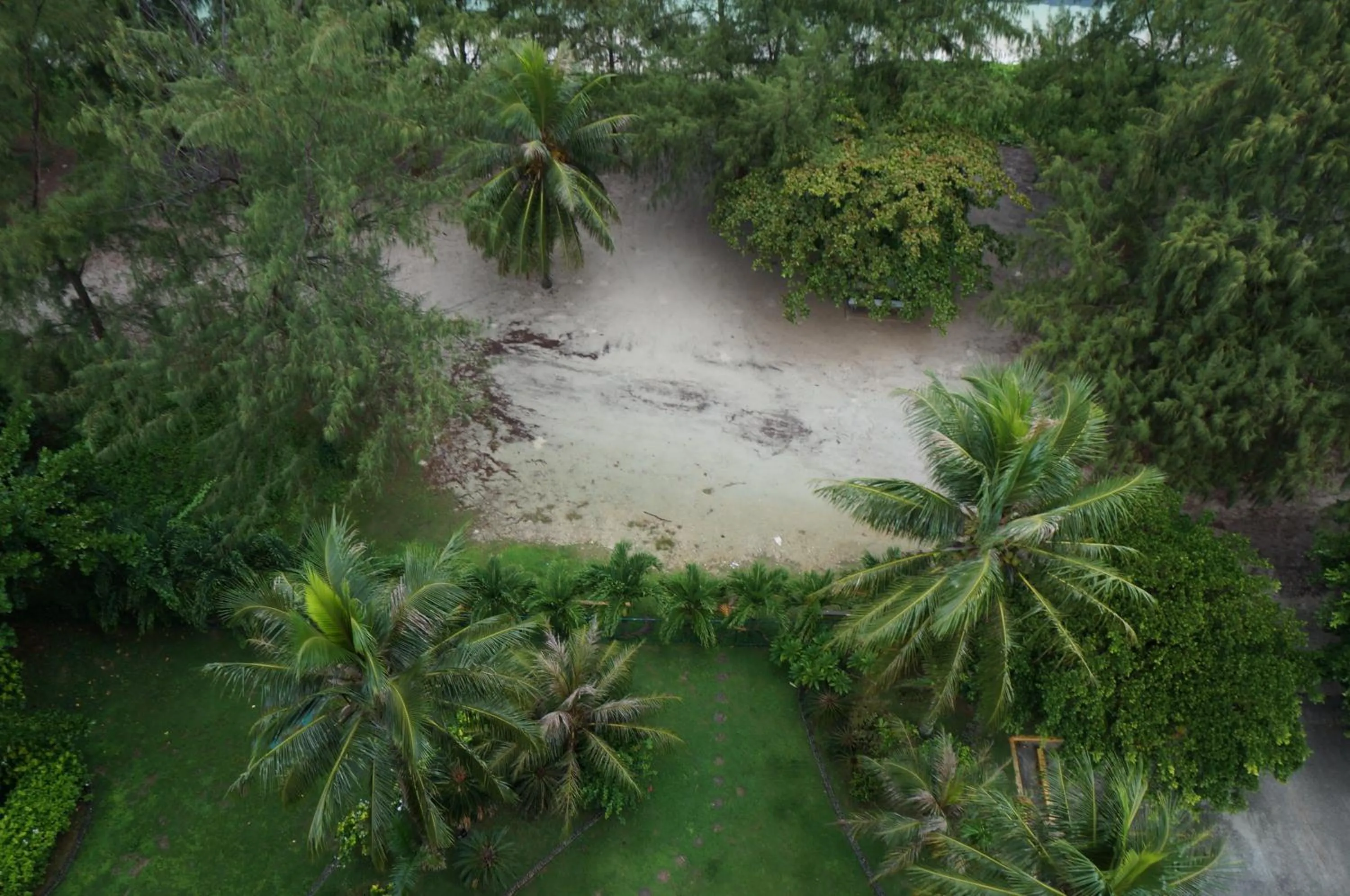 View (from property/room) in Aquarius Beach Tower