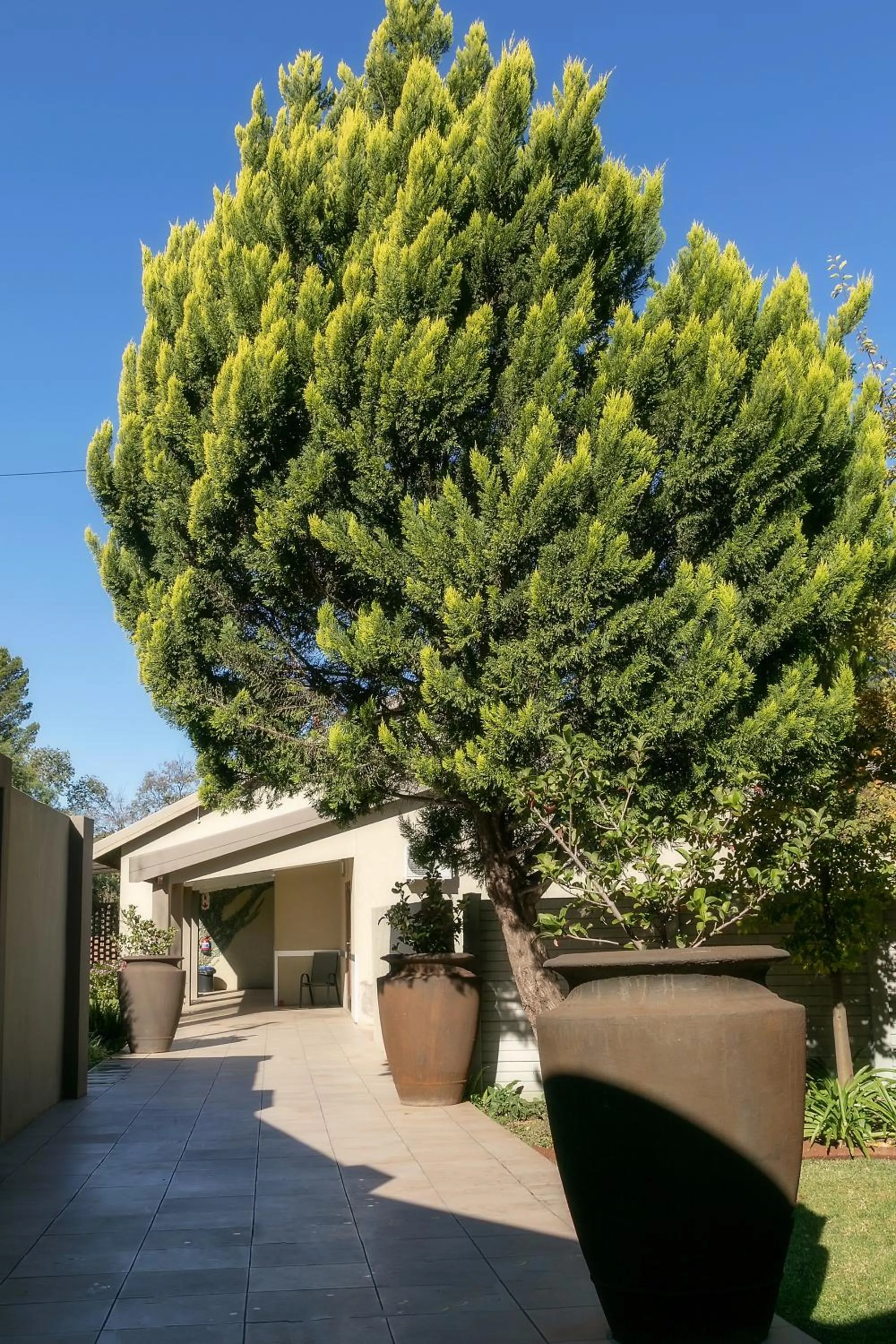 Property building in Mondior Manor Guest House