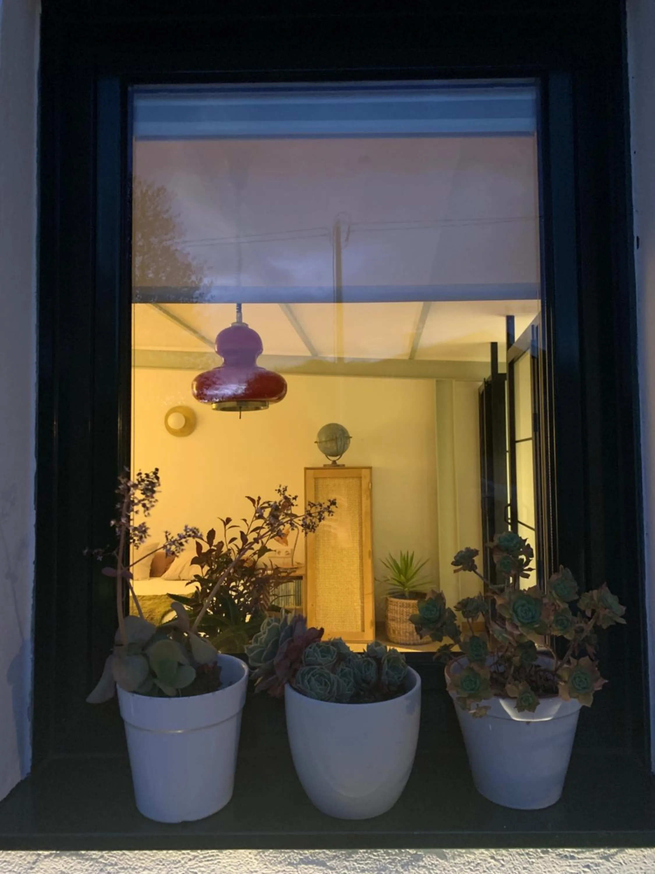 Garden in Casa Lourido