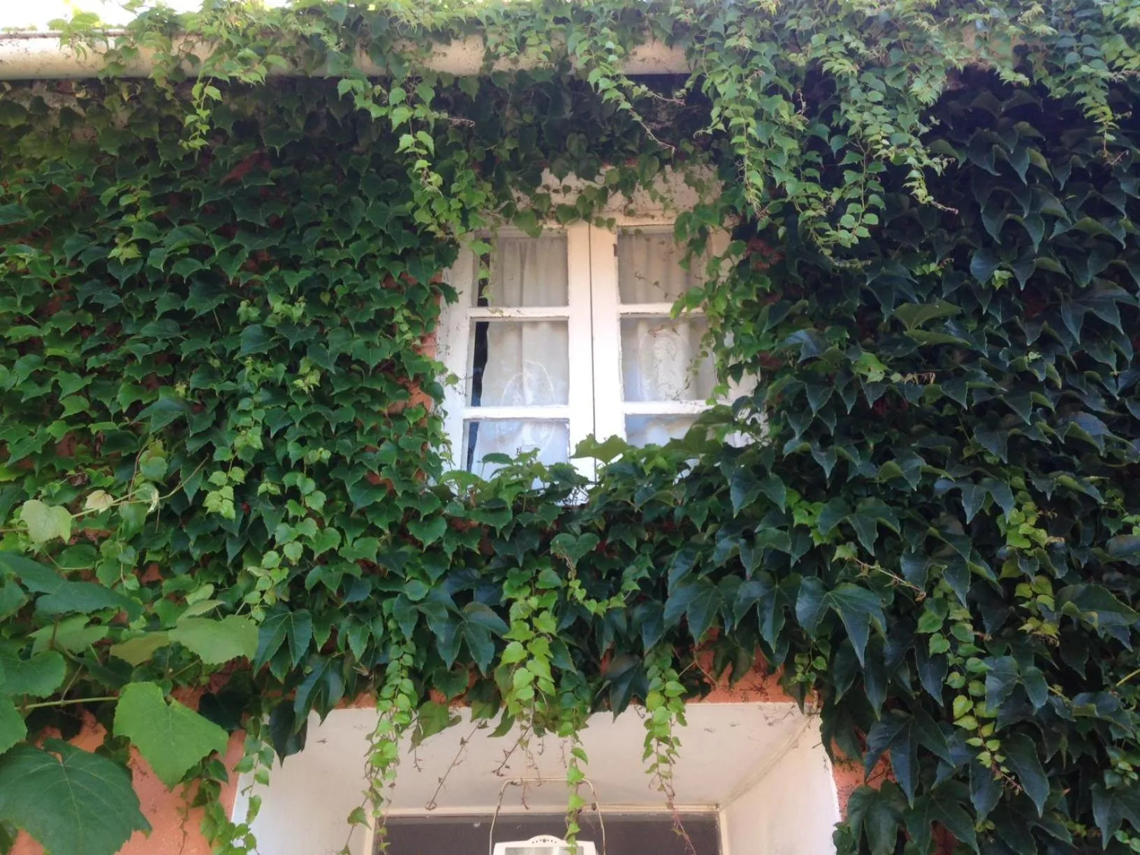 Facade/entrance in Casa Lourido