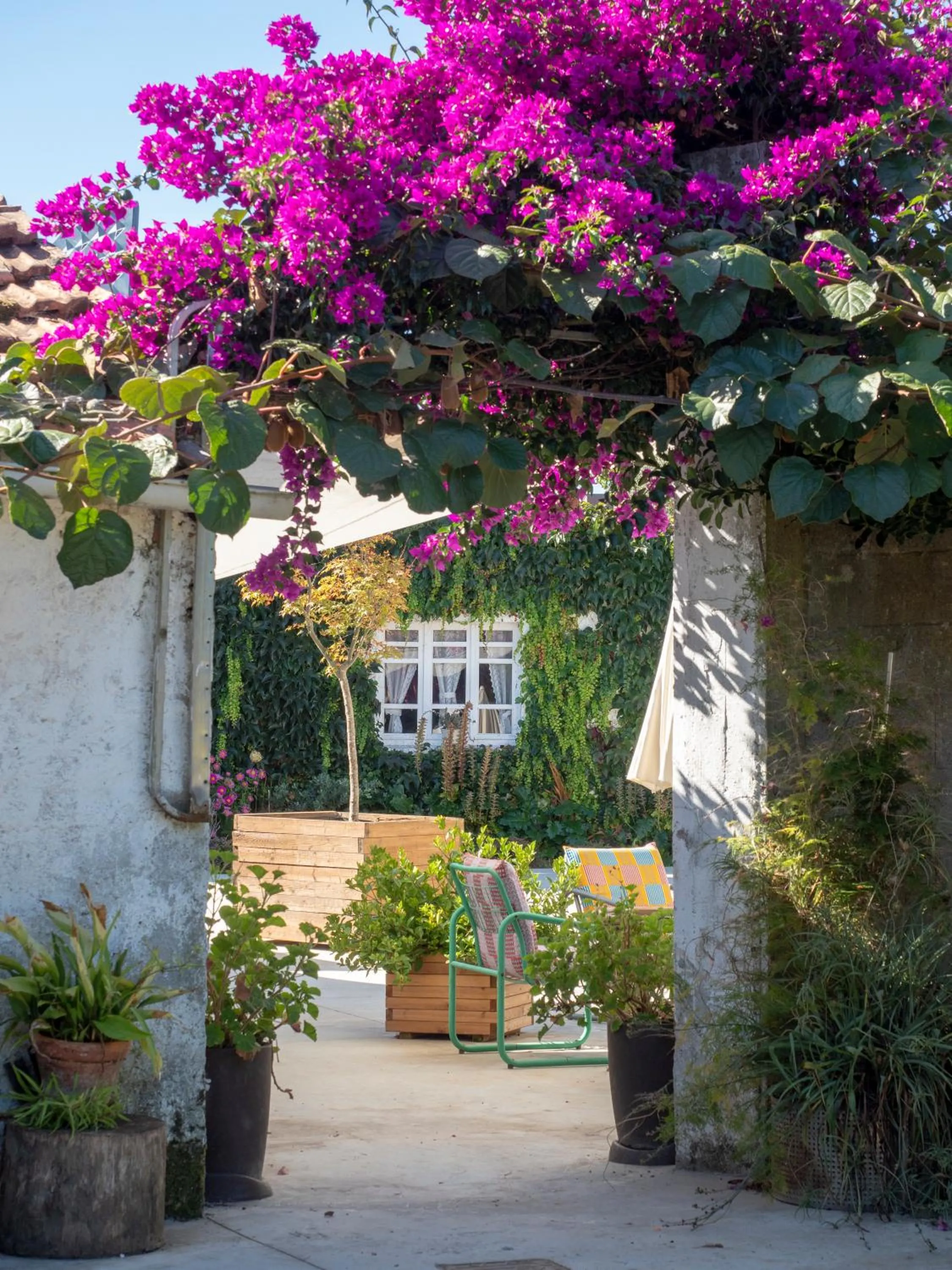 Spring in Casa Lourido