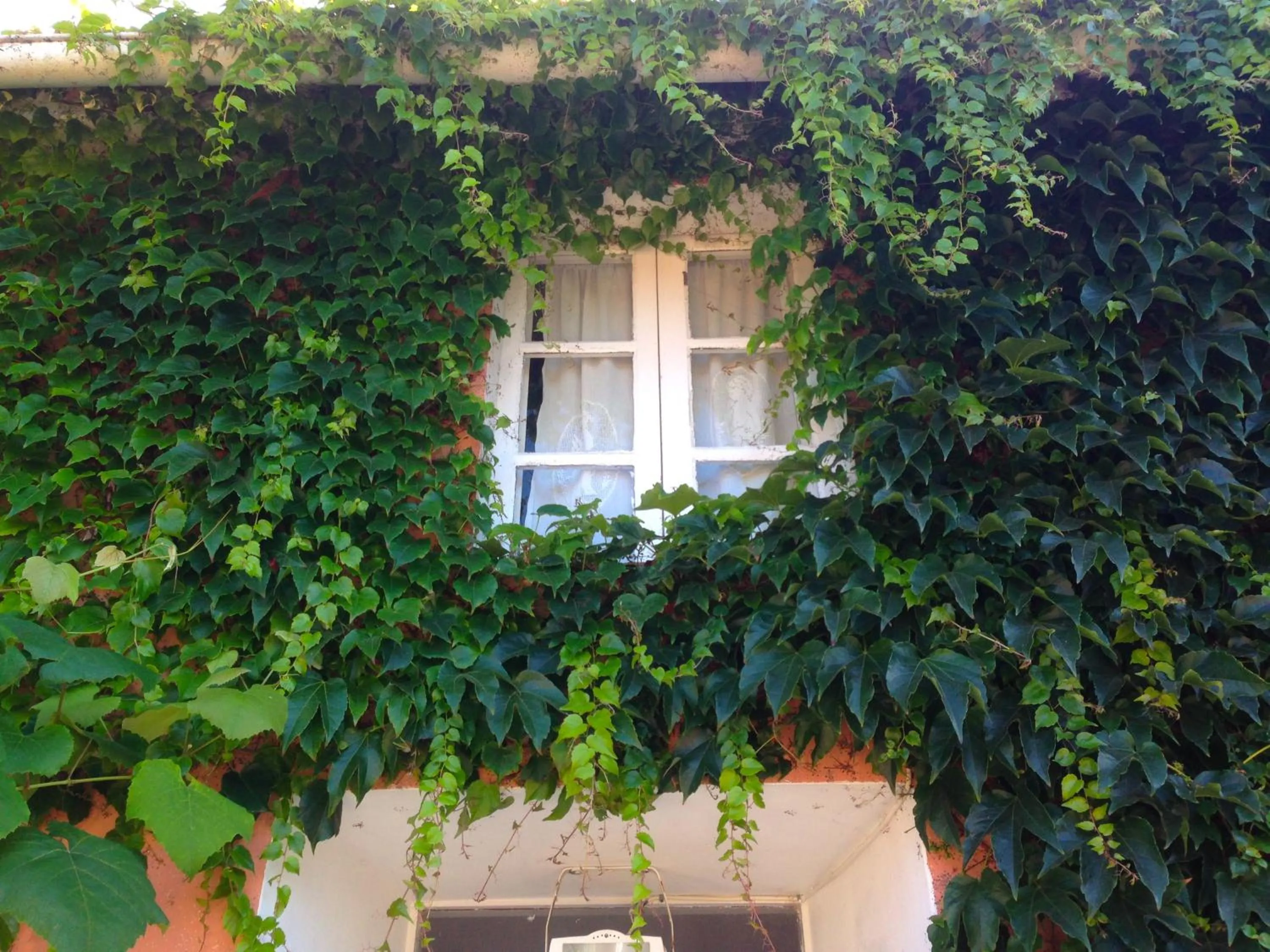 Property building in Casa Lourido