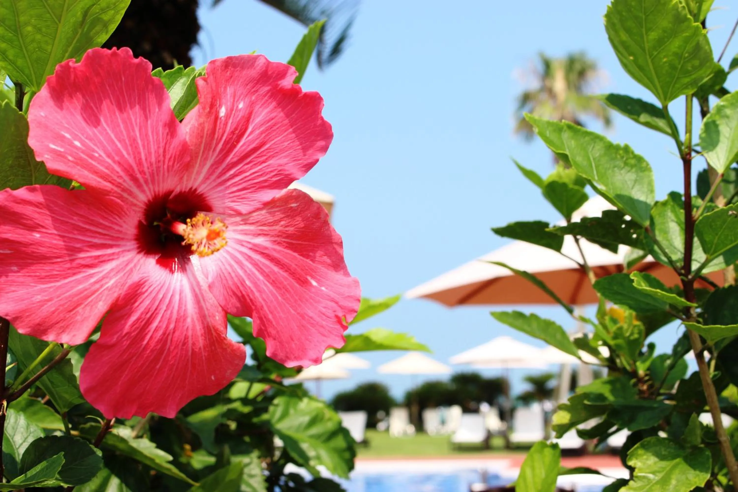 Day in Okuma Private Beach & Resort