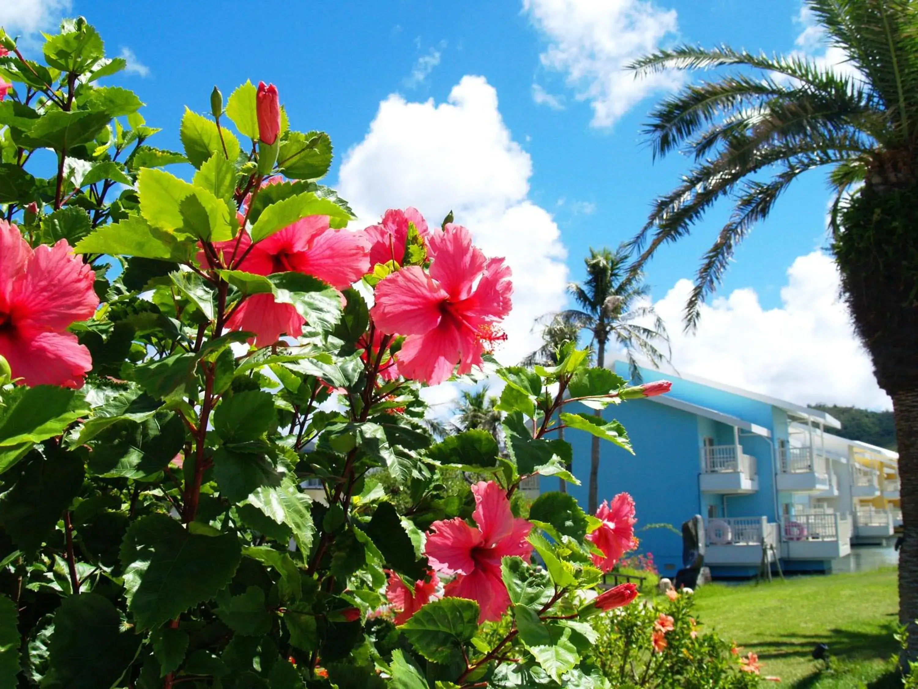 Facade/entrance in Okuma Private Beach & Resort Facade/entrance in Okuma Private Beach & Resort