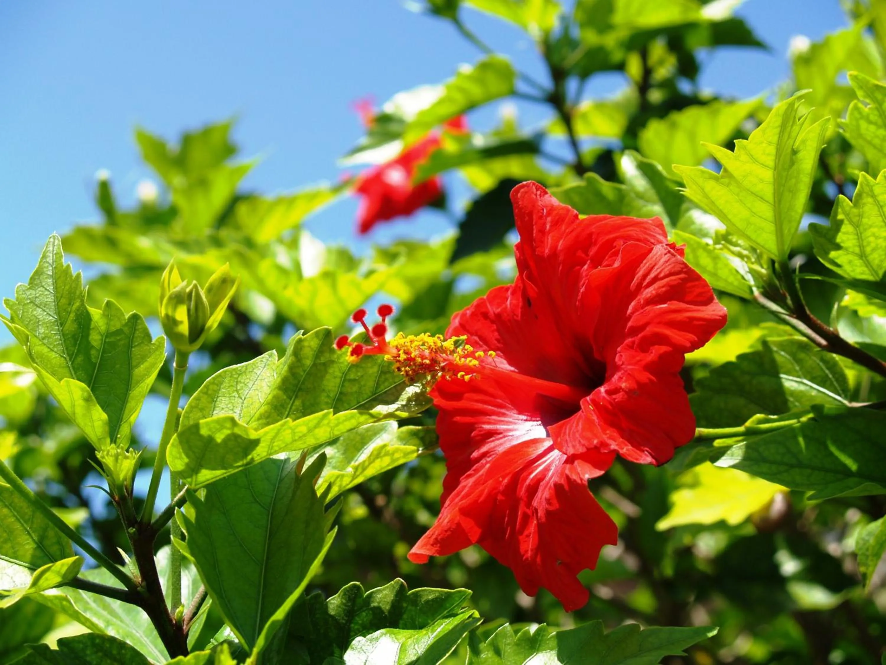 Day in Okuma Private Beach & Resort