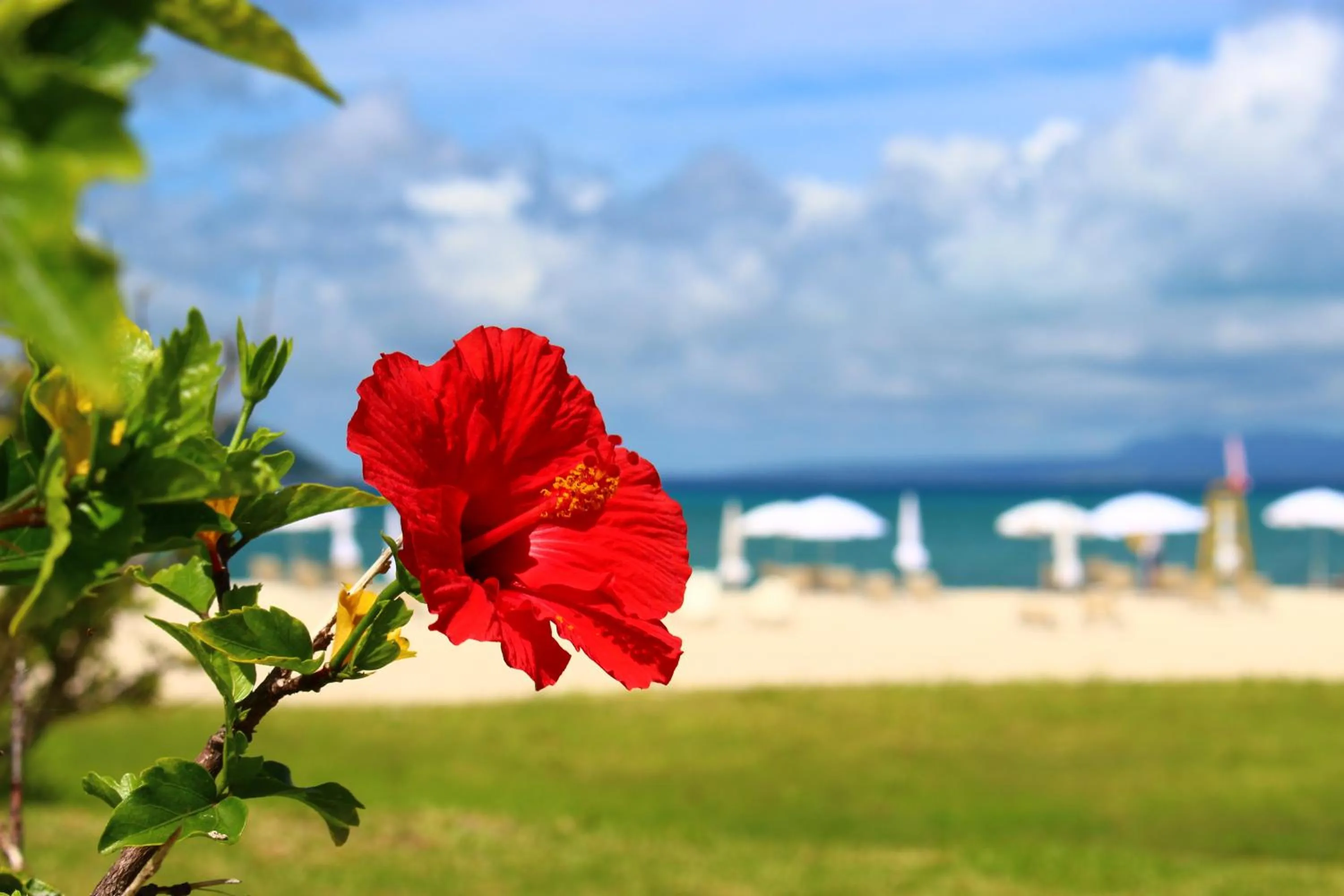 Day in Okuma Private Beach & Resort