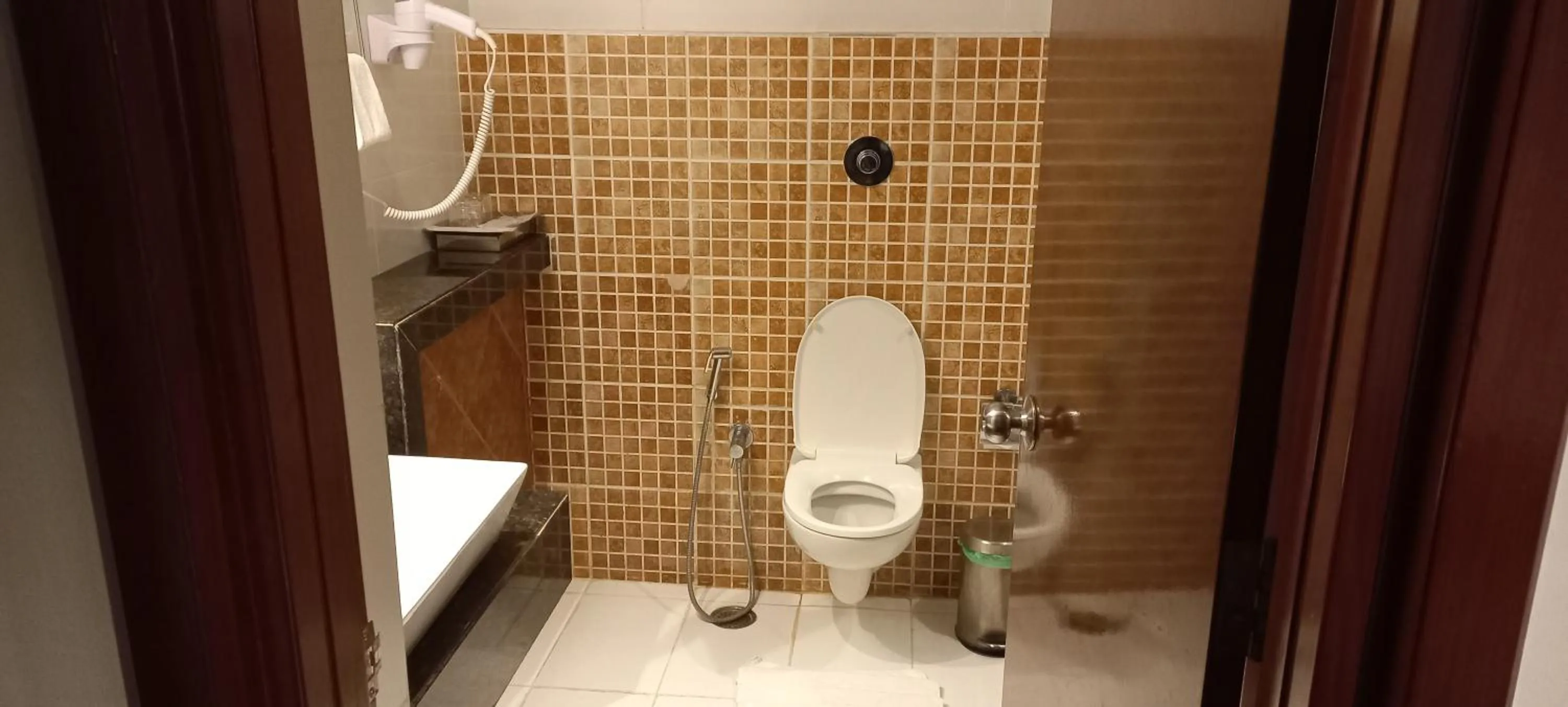 Toilet in Royal Orchid Central, Shimoga