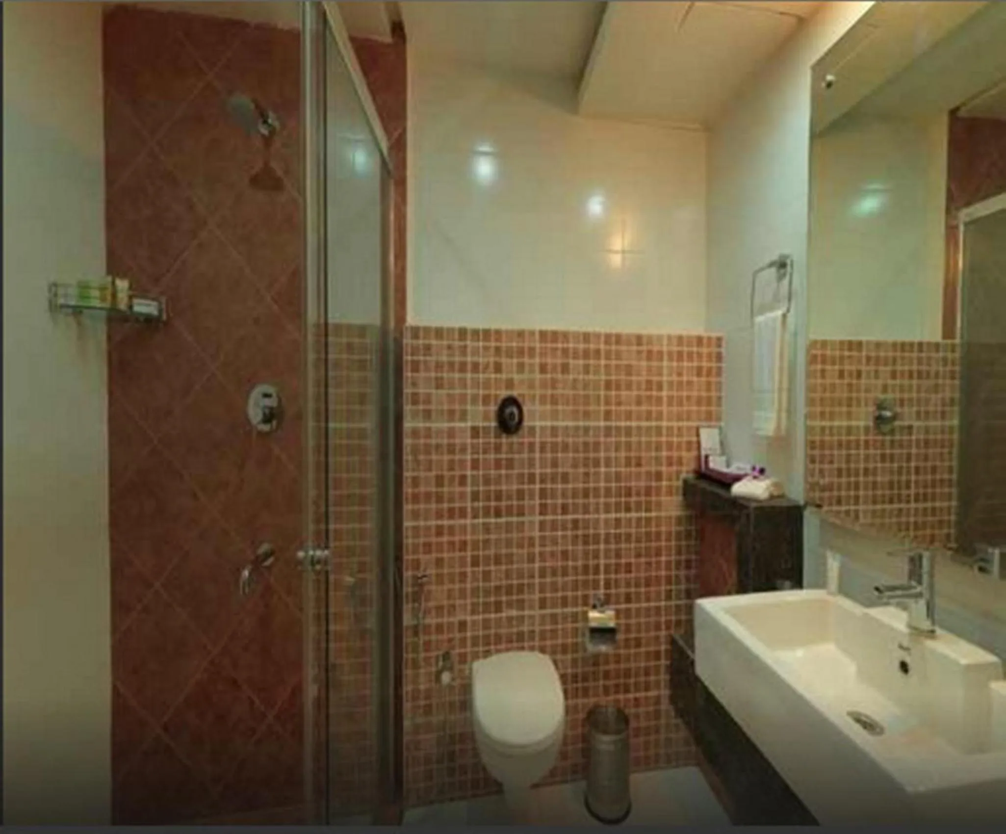 Toilet in Royal Orchid Central, Shimoga