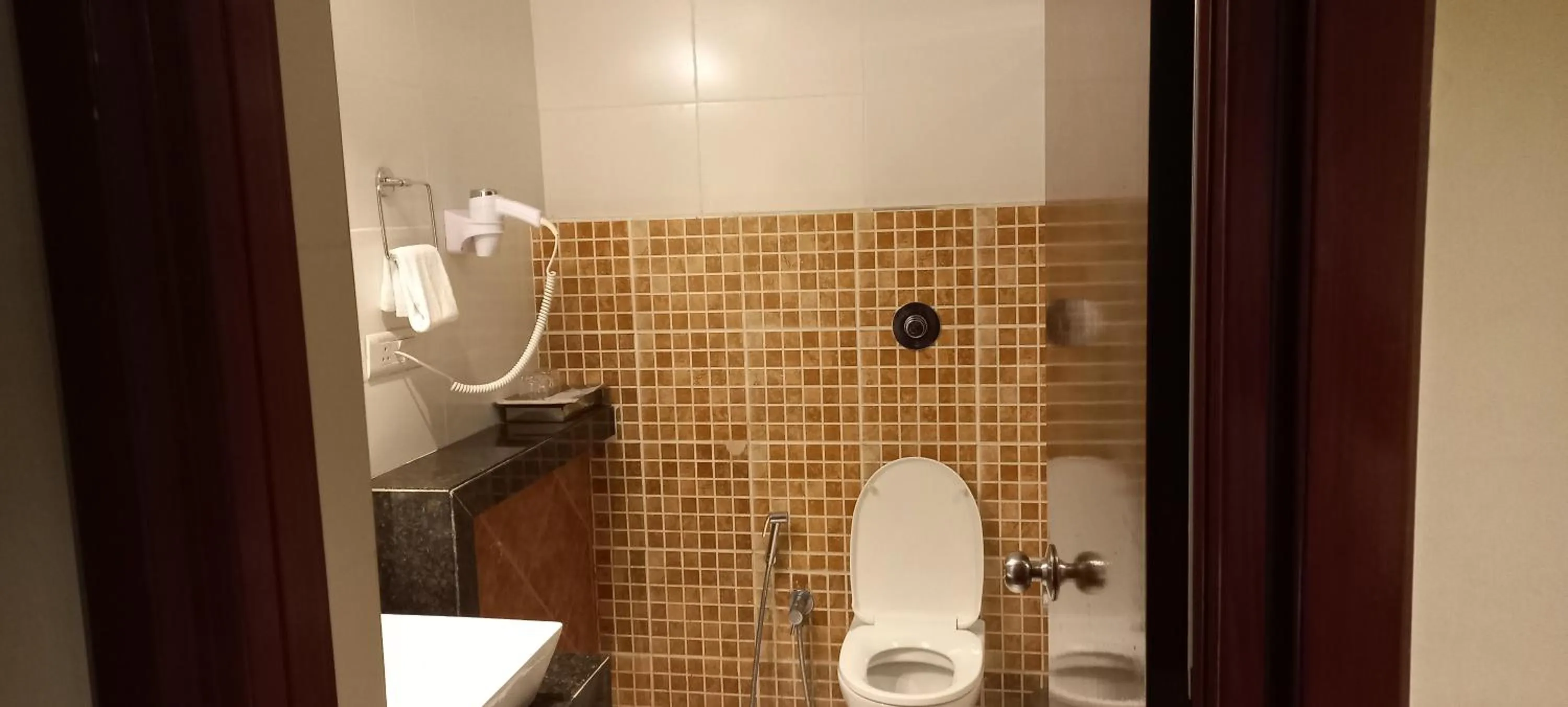 Toilet in Royal Orchid Central, Shimoga