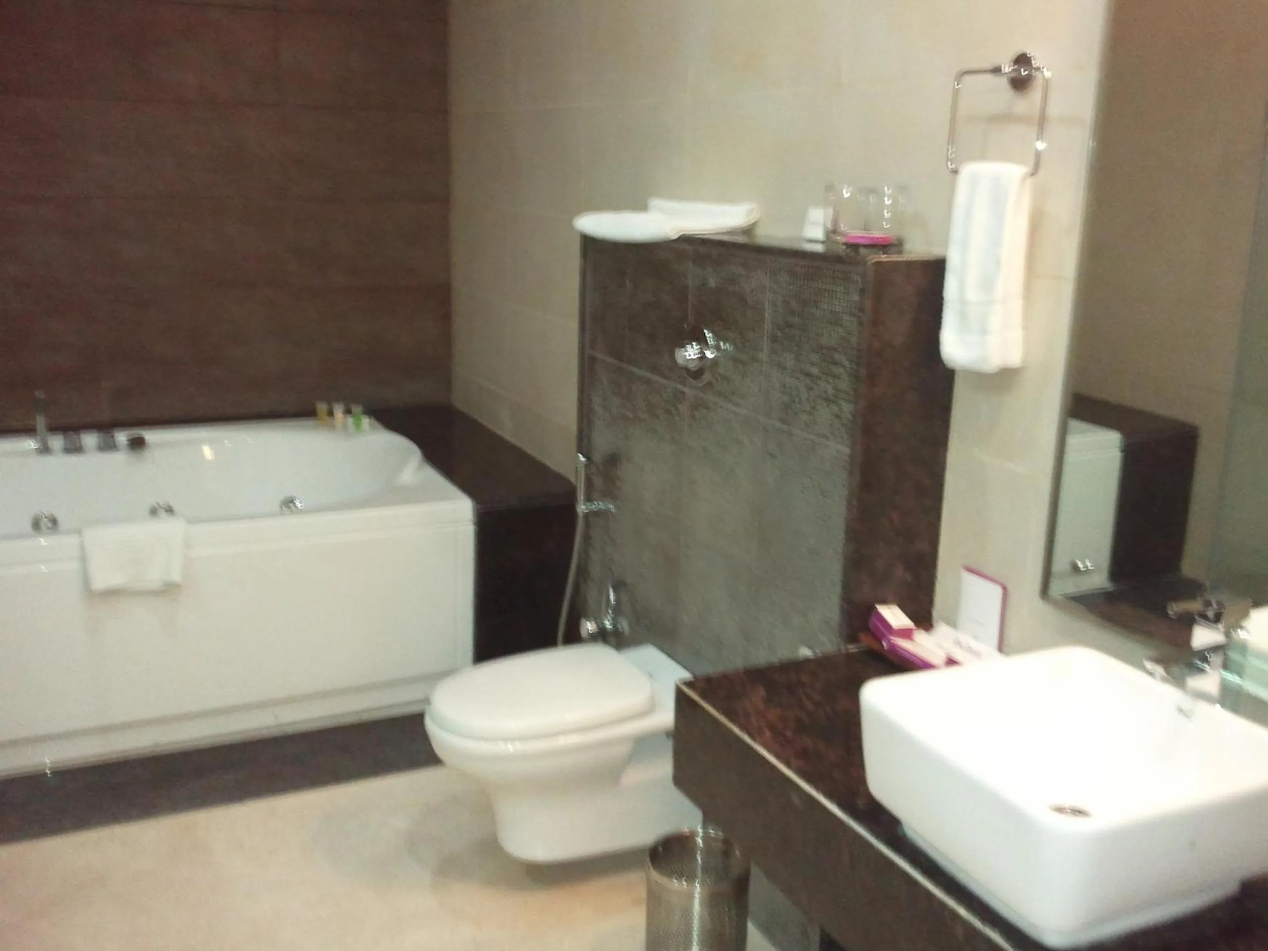 Toilet in Royal Orchid Central, Shimoga