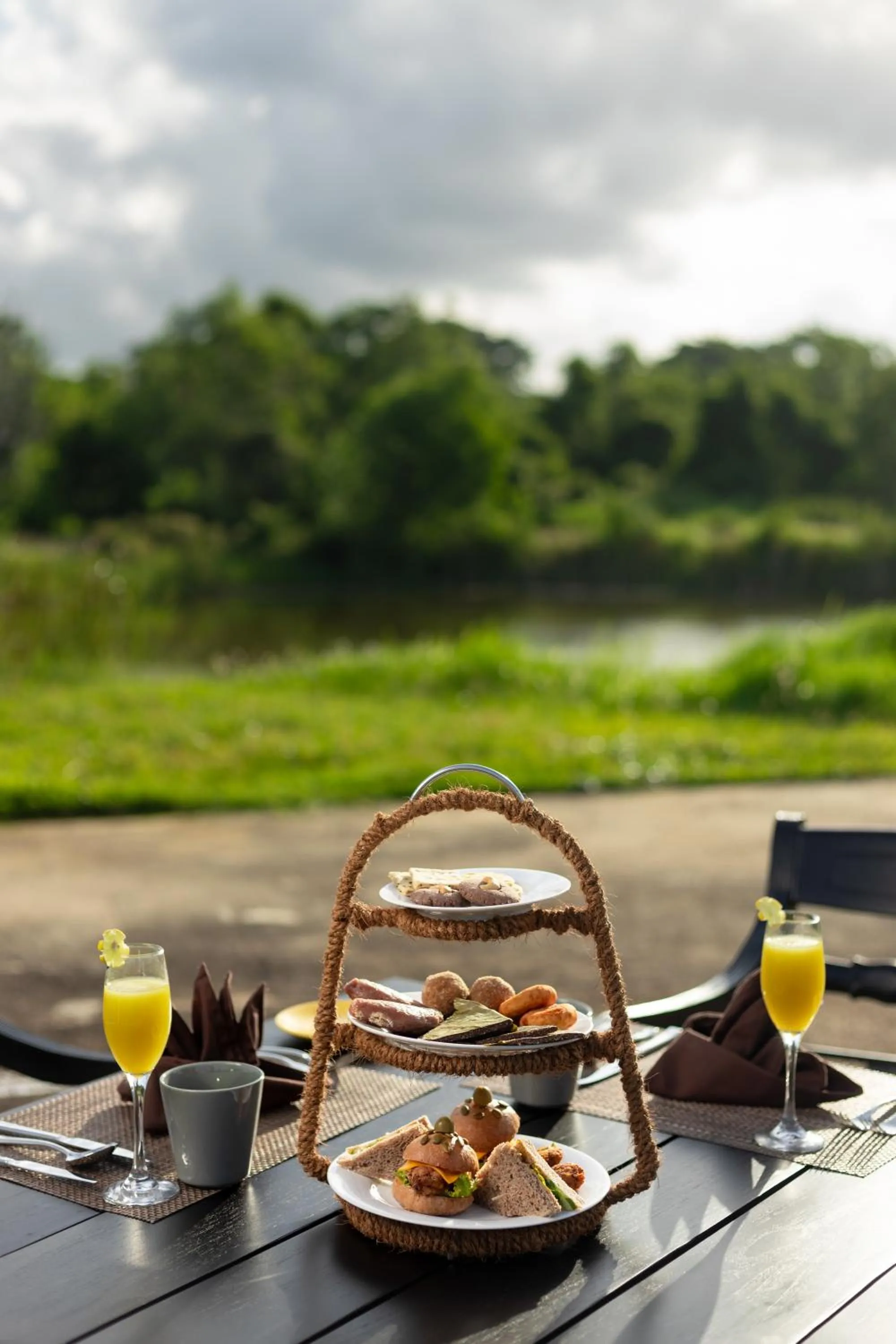 Food and drinks in Ayugiri Ayurveda Wellness Resort Sigiriya