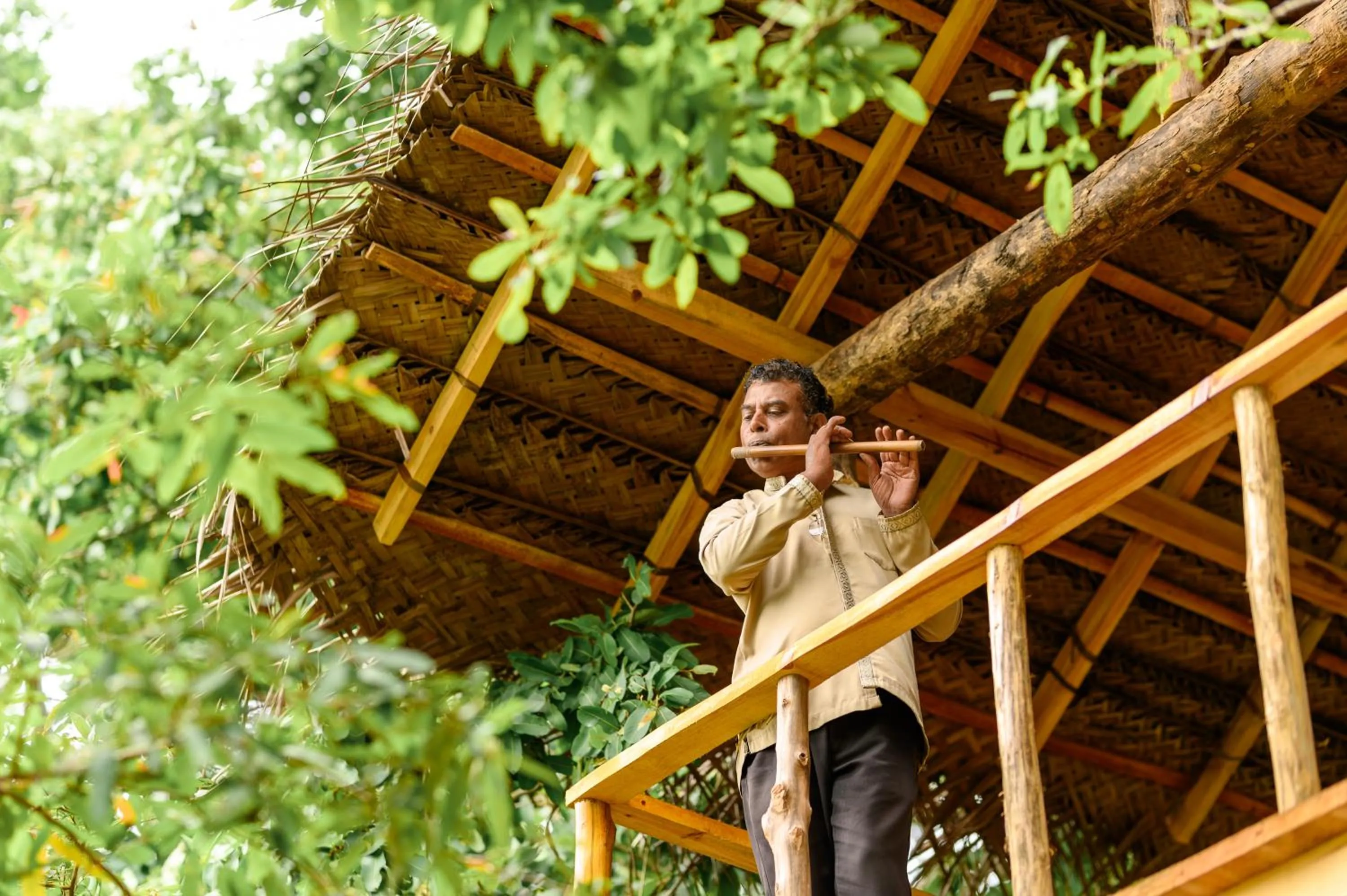 Natural landscape in Ayugiri Ayurveda Wellness Resort Sigiriya