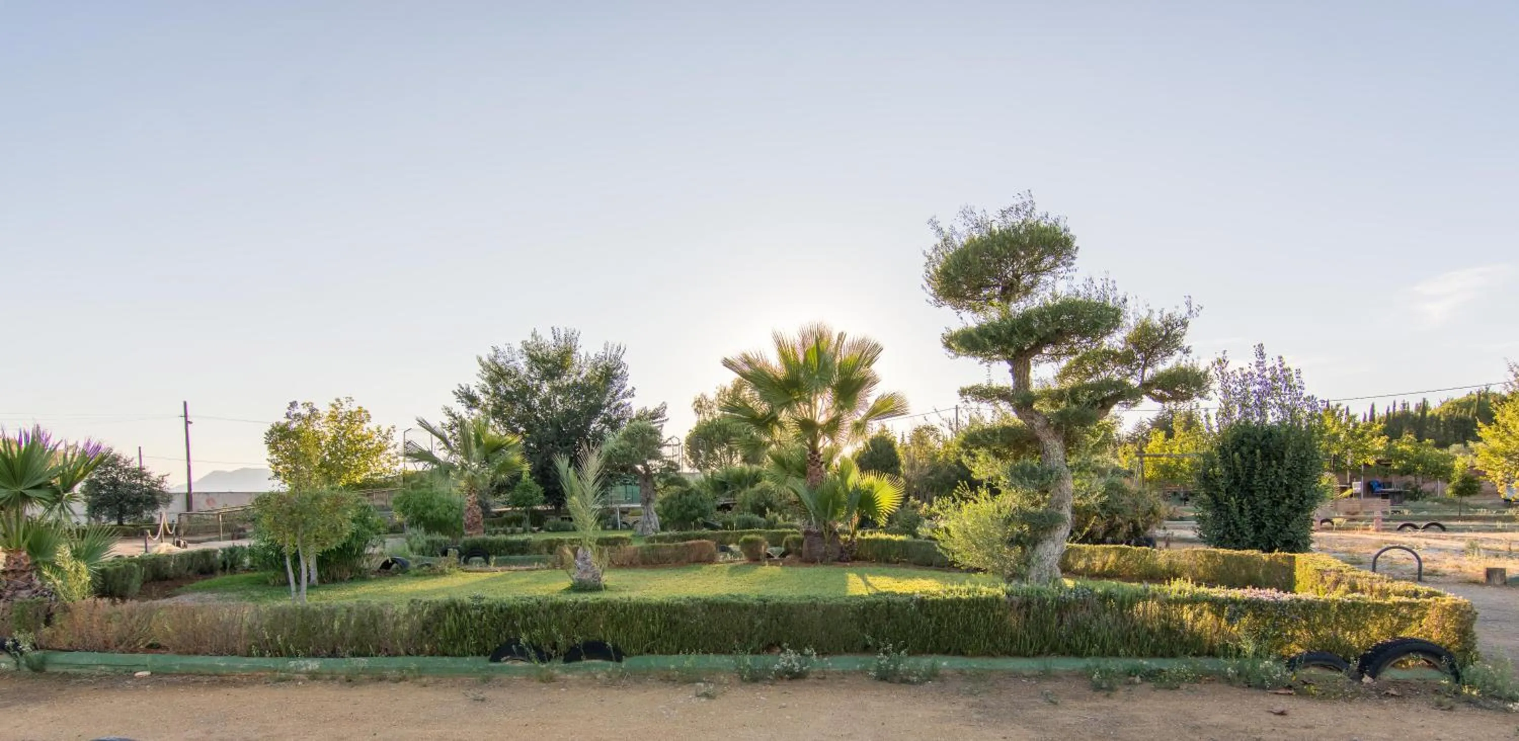 Activities in Hotel Rural El Cortijo