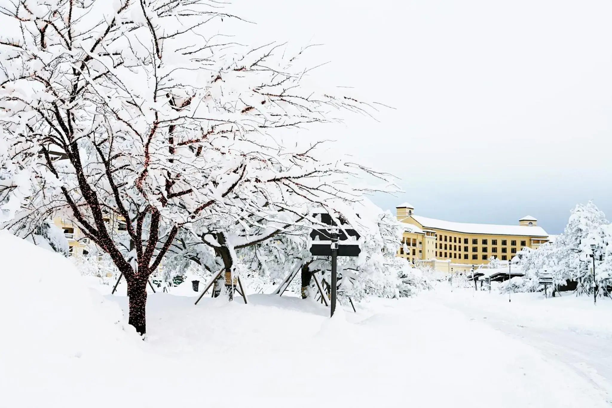 Bird's eye view in Hanwha Resort Seorak Sorano Bird's eye view in Hanwha Resort Seorak Sorano