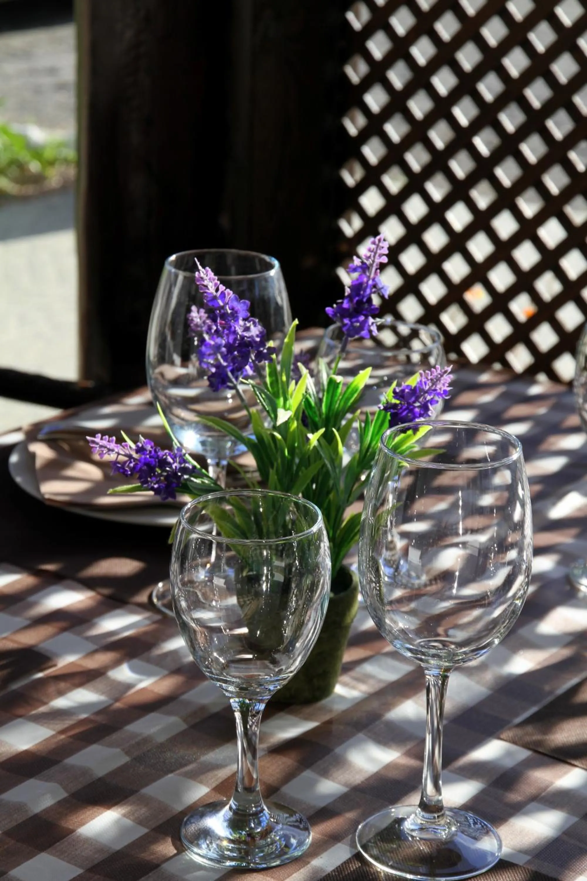 Area and facilities in Hotel Mas Prades