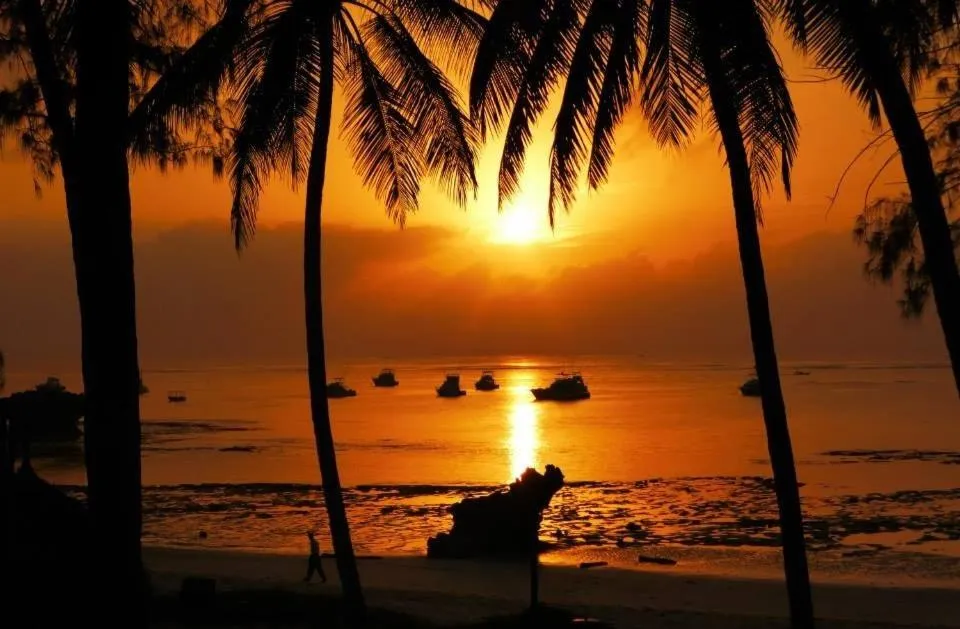 Turtle Bay Beach Club- All Inclusive