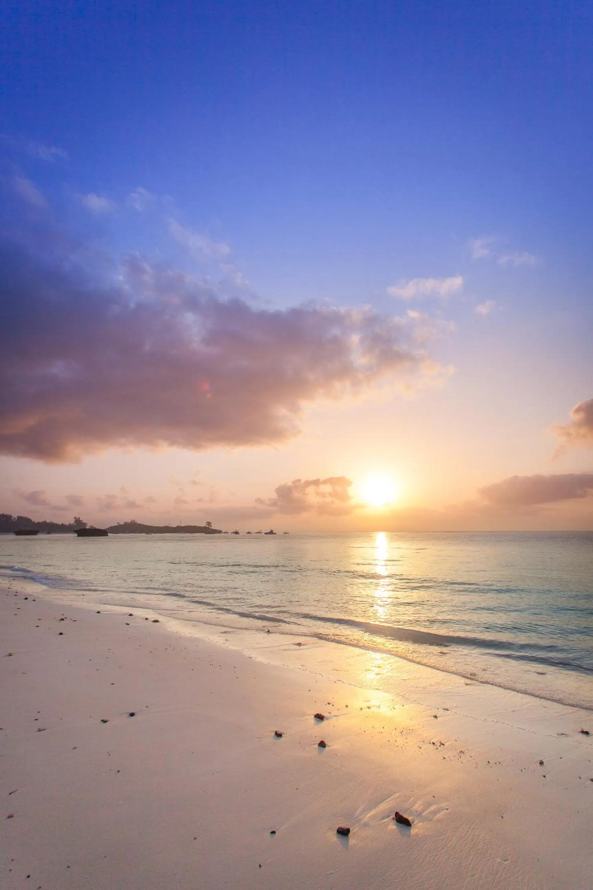 Turtle Bay Beach Club- All Inclusive