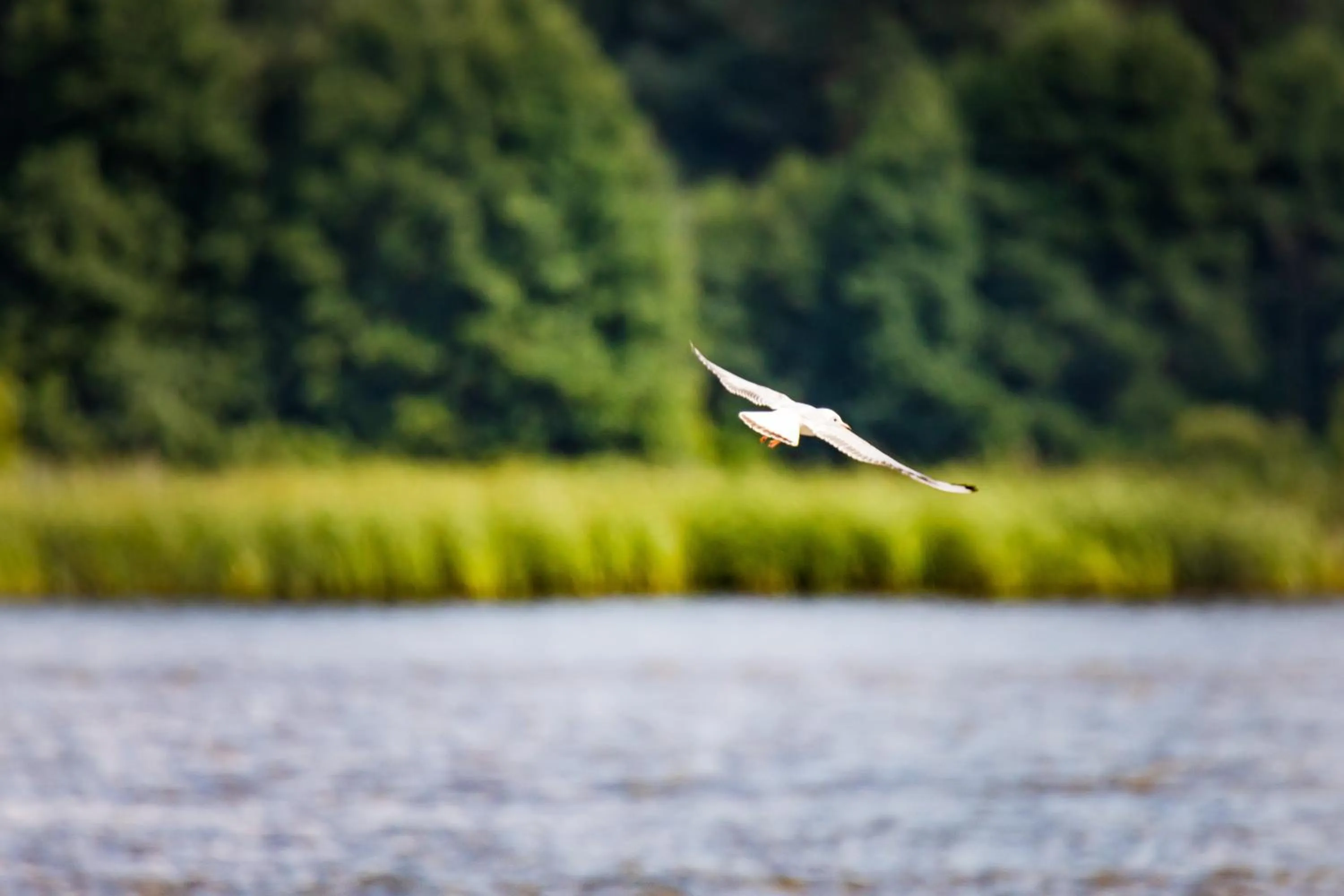 Activities in Hotel Pan Tadeusz