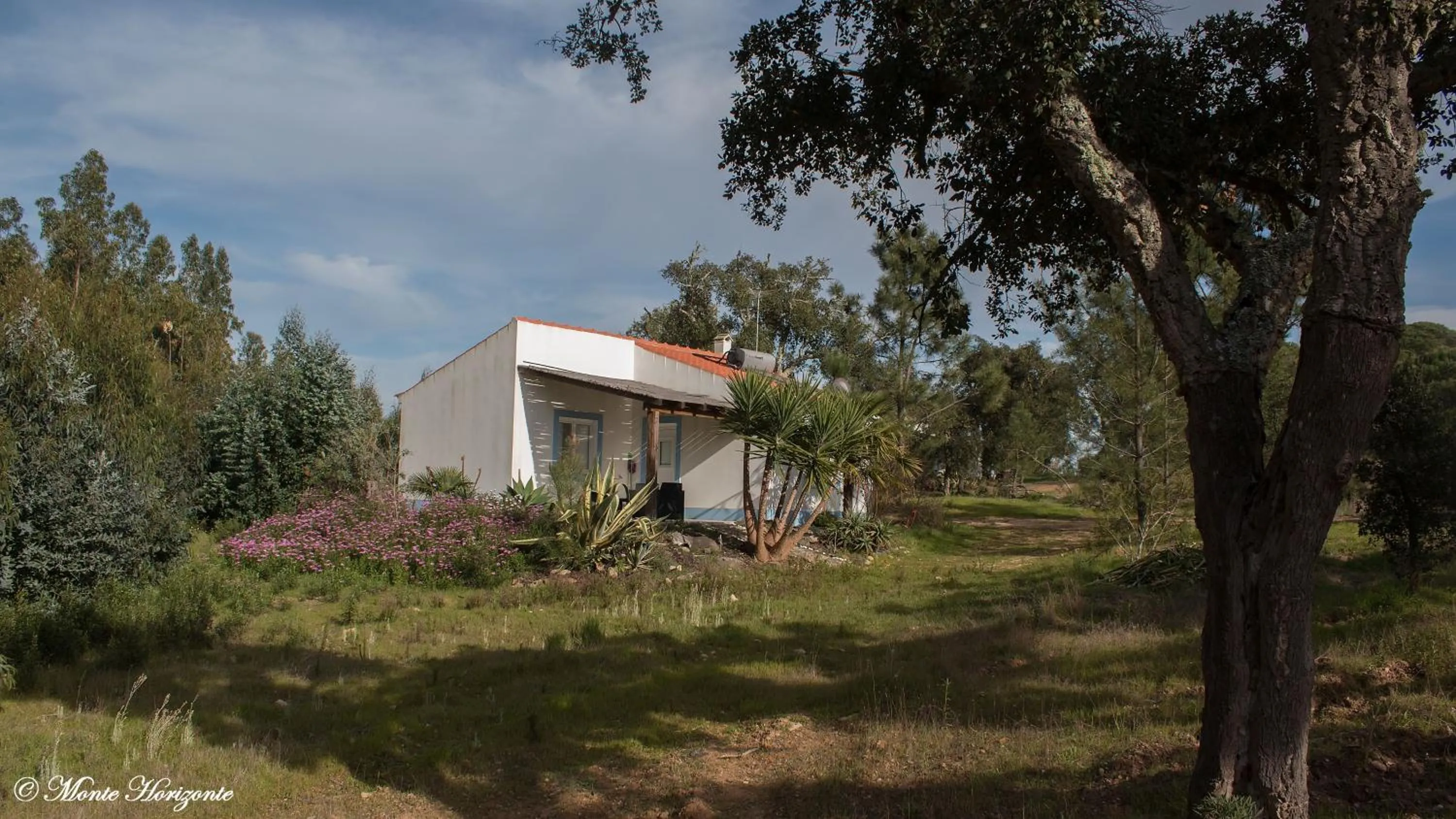 Monte Horizonte - Villas Privadas - Eco e Natureza - Adults Only