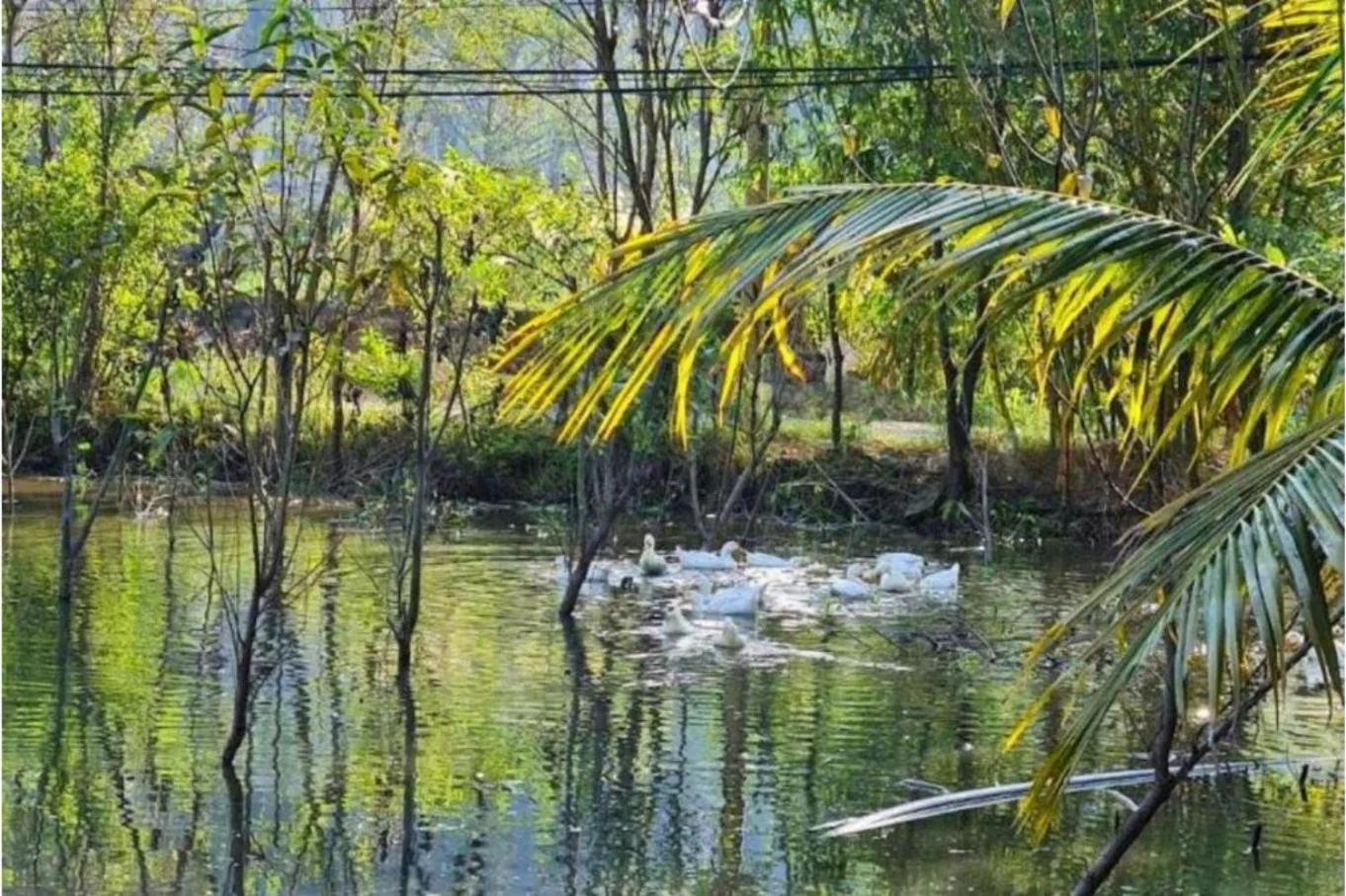 Natural landscape in Trang An Retreat